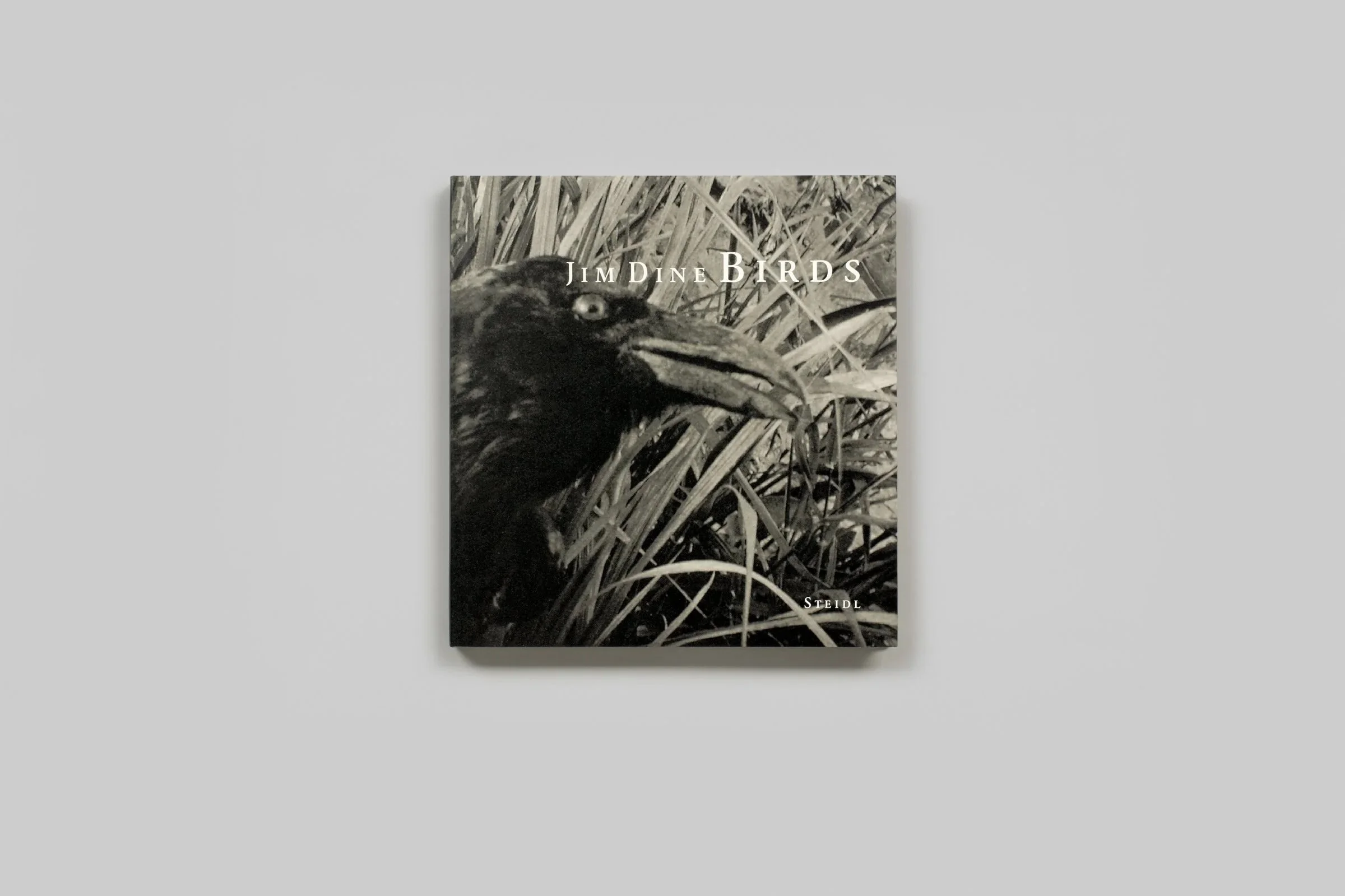 jim-dine-birds-004.jpg