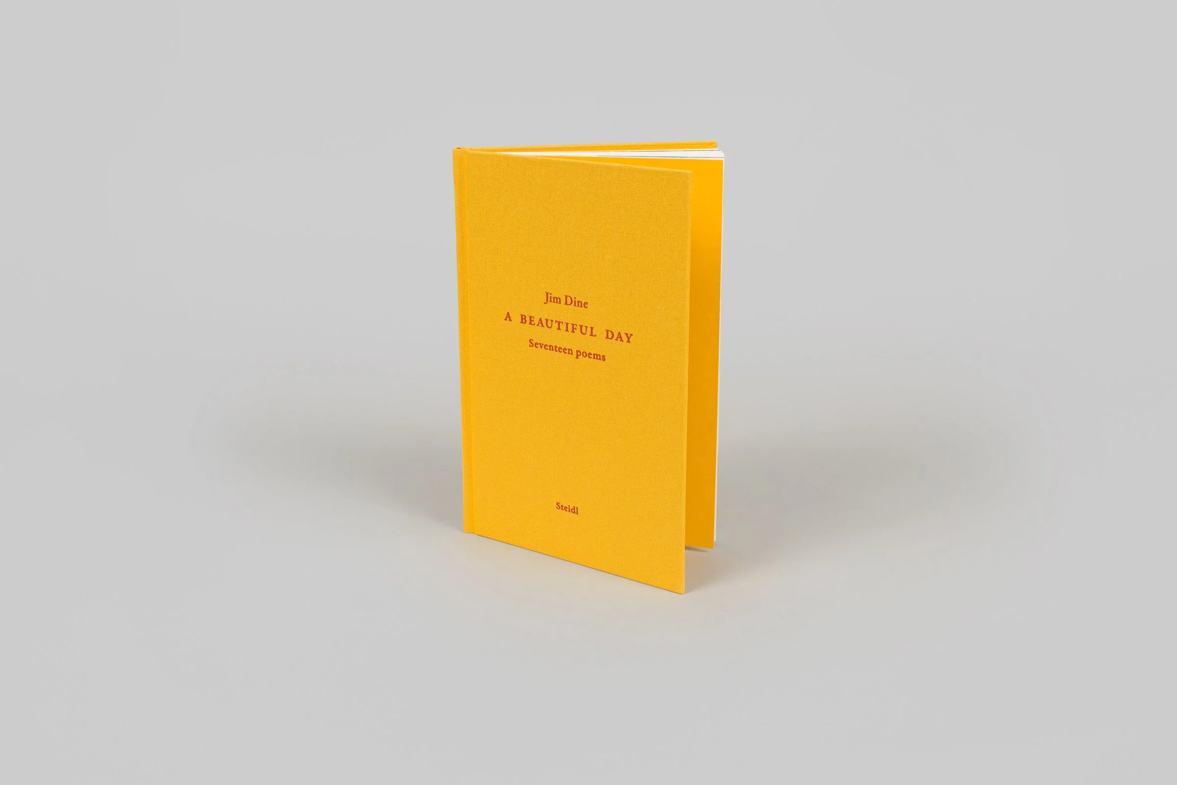 A Beautiful Day. Seventeen Poems