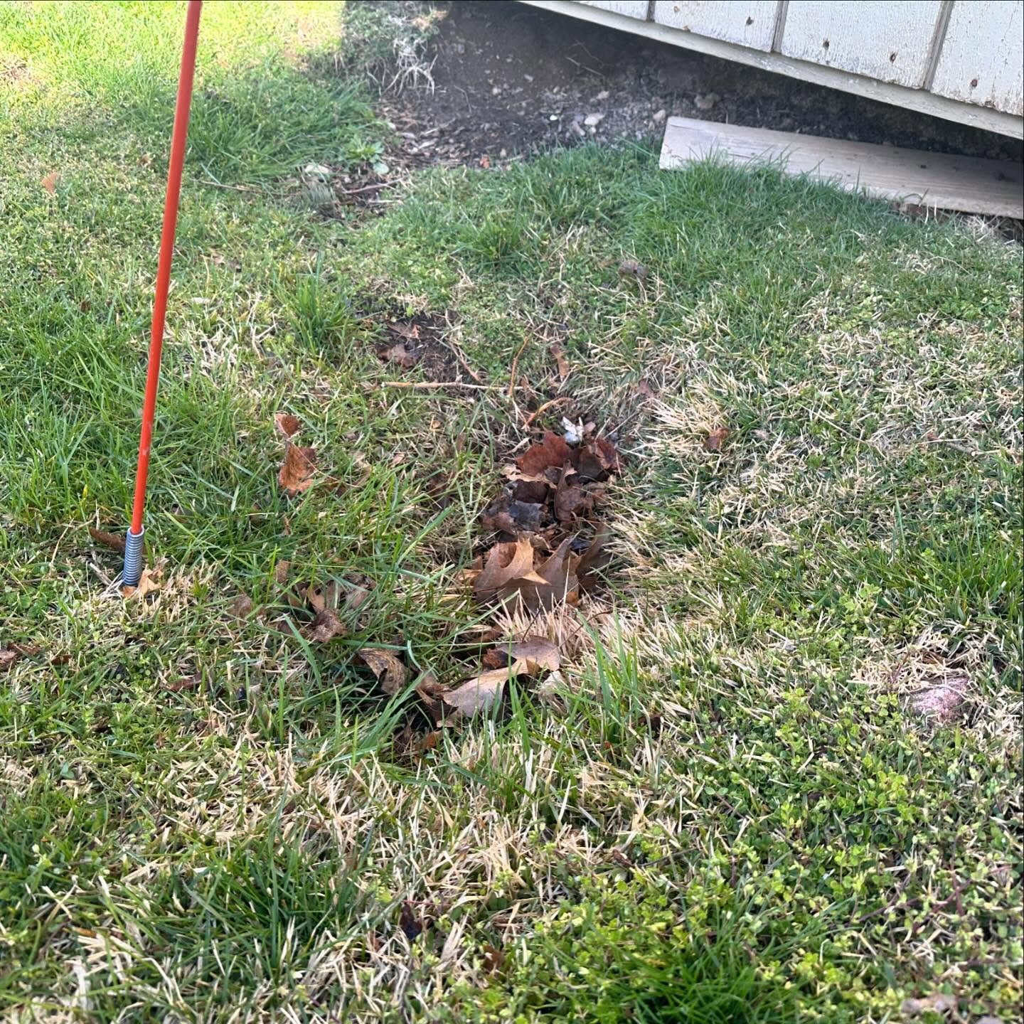 Hole is filled and grass seed is down, all that&rsquo;s left is for the grass to grow!

#grassseed #greenlawn #perfectlawn