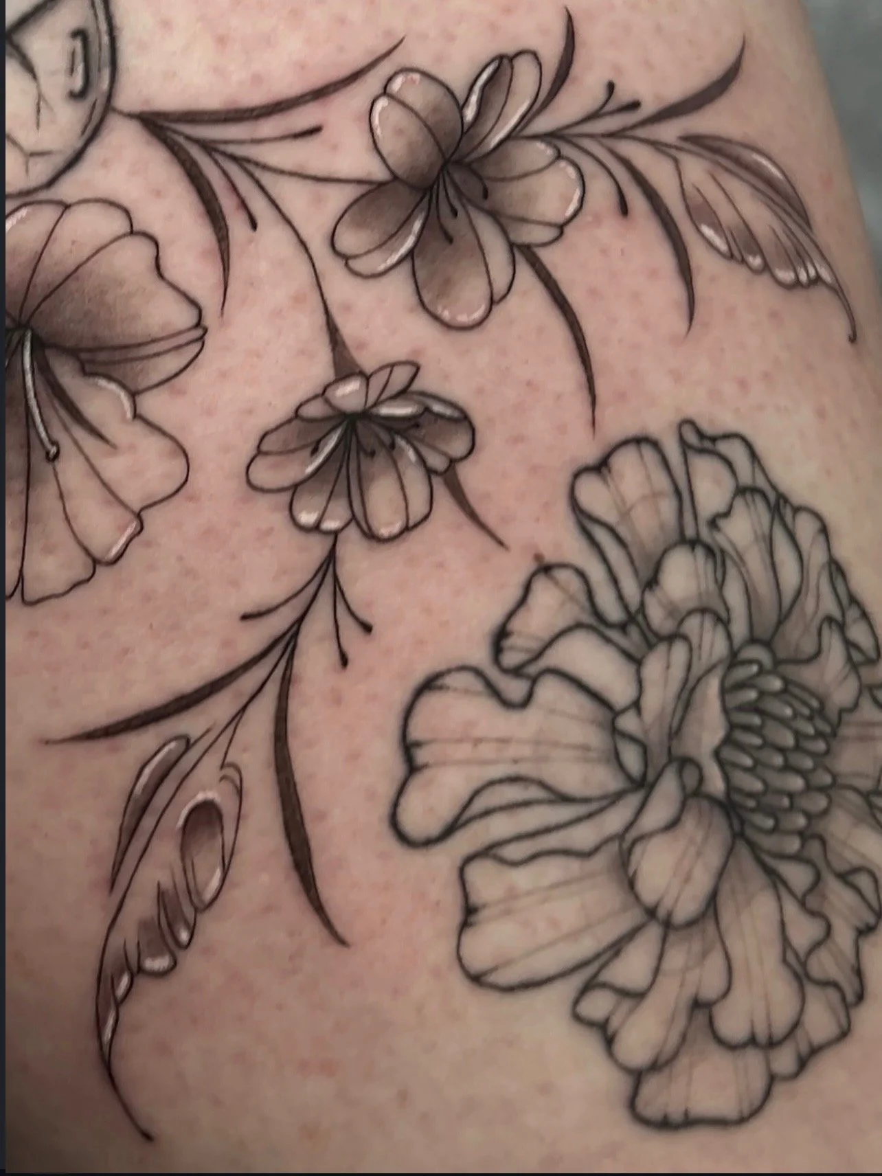 Close-up of a tattoo featuring detailed line drawings of flowers and butterflies on skin by Mando at Harp and Rose Tattoo in Ventura California