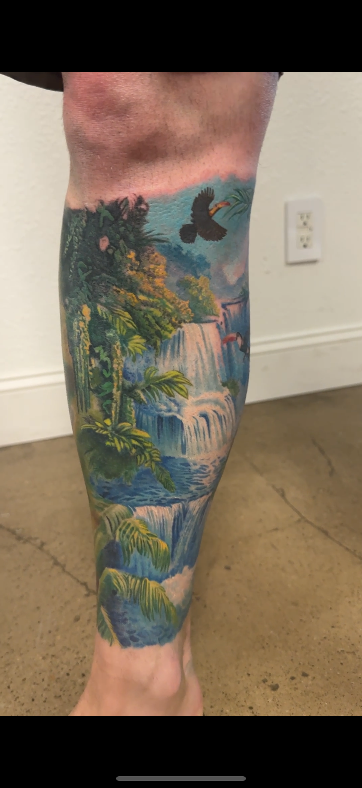 Colorful tattoo of a tropical waterfall scene with lush green plants, water cascading down rocks, and a bird flying in the sky with detailed shading by Richy Reynolds of Harp & Rose Tattoo Ventura California. 