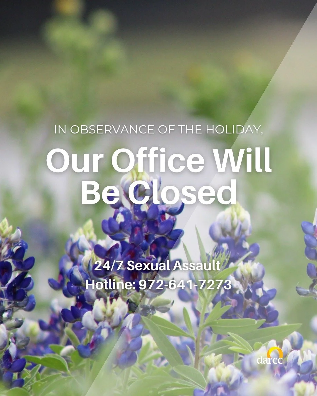 In observance of the holiday, our offices will be closed on Friday, April 3.
 
Our 24/7 sexual assault hotline remains open and available. If you need support, please don&rsquo;t hesitate to call 972-641-7273. We&rsquo;re here for you.

#CommunityCar