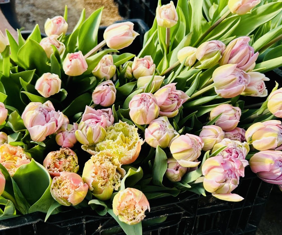 Valentine's Day Bouquet