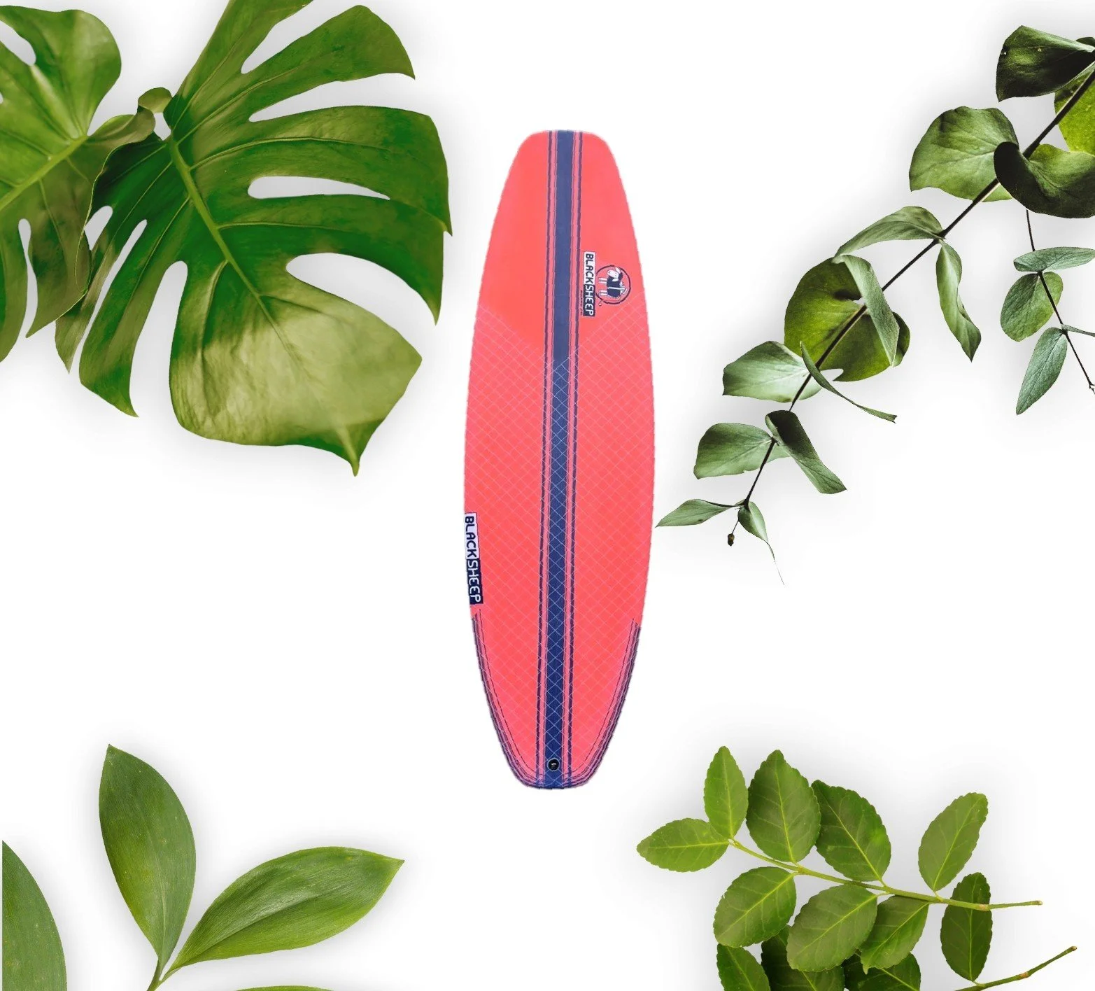 Flat Top kiteboard Black Sheep Board Co