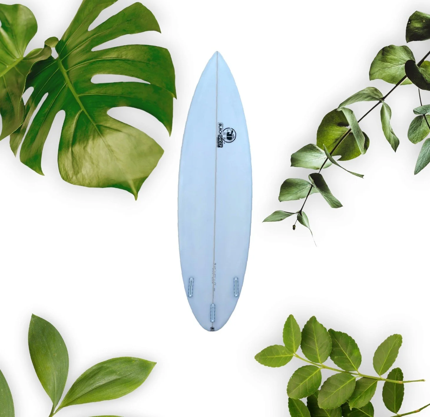 Paper Plane surfboard Black Sheep Board Co