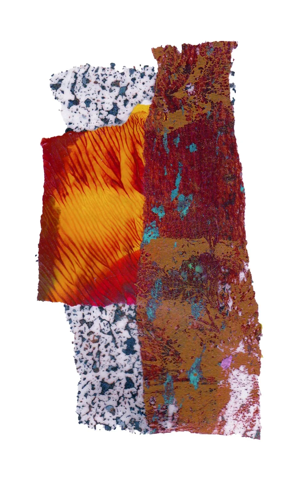 Day 240 — Oct 14, 2024