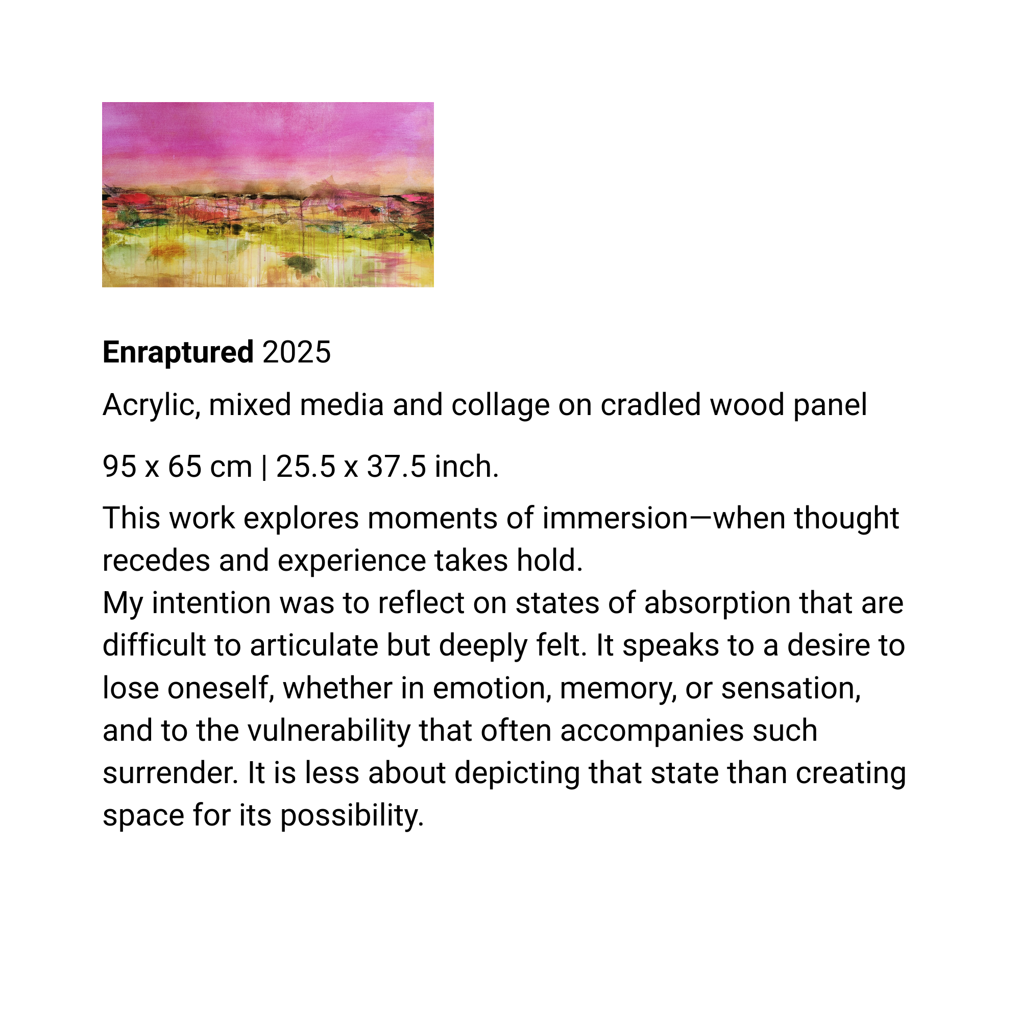 enraptured catalog website.png