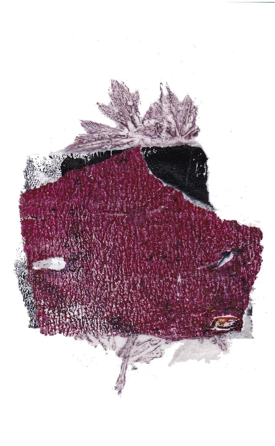 Day 293 — Dec 6, 2024