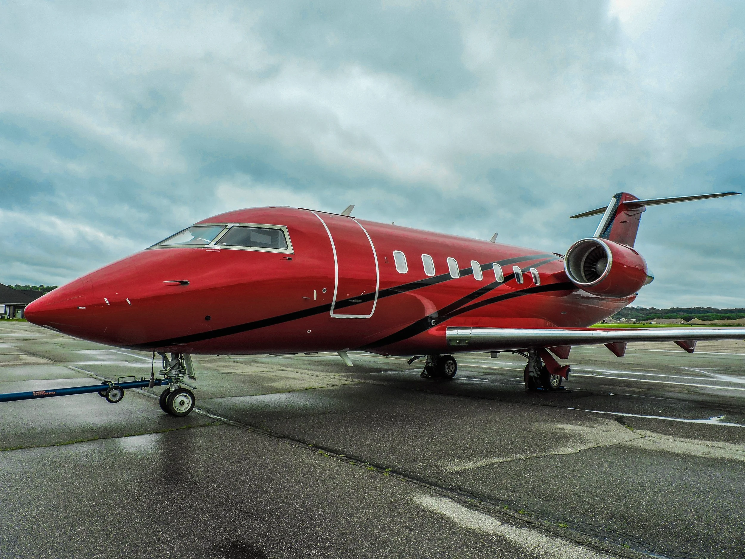 Clifford - front view.jpg