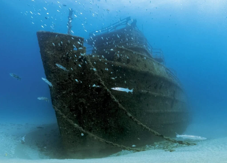 Jupiter FL "Lemon Drop" shark dive & "Wreck Trek"