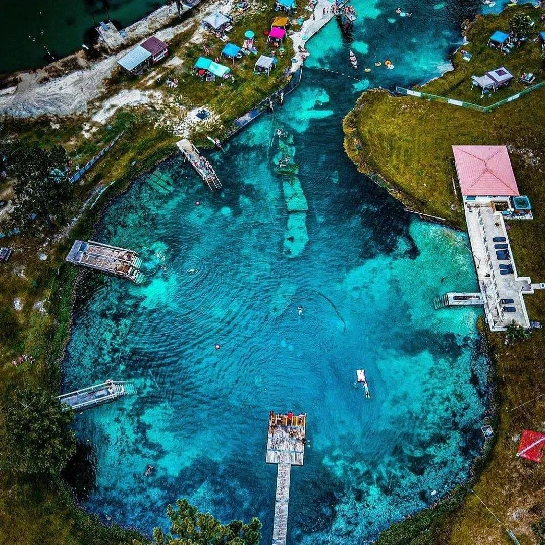 dive with the shop at vortex springs