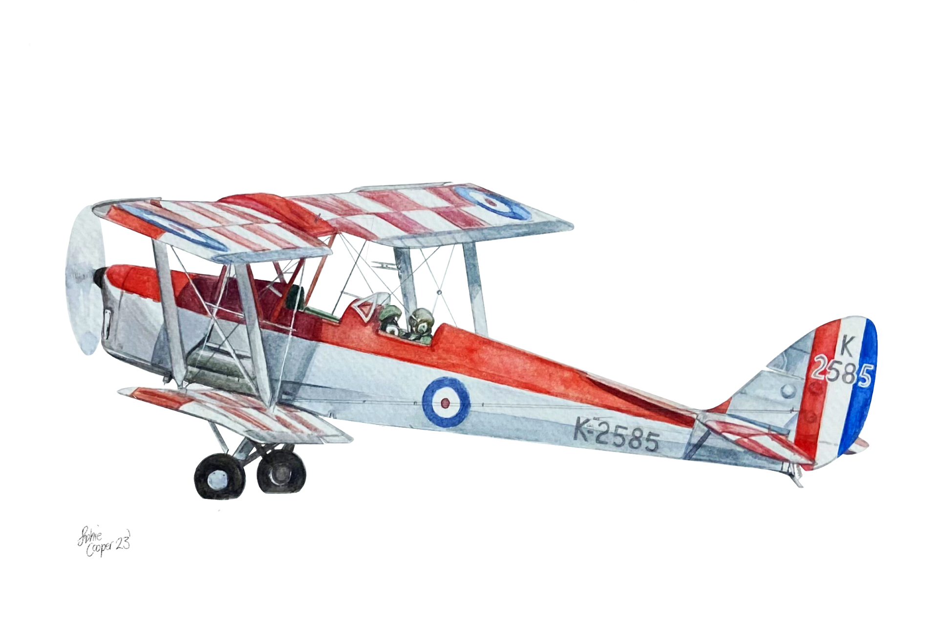 de Havilland DH.82a Tiger Moth in Watercolour