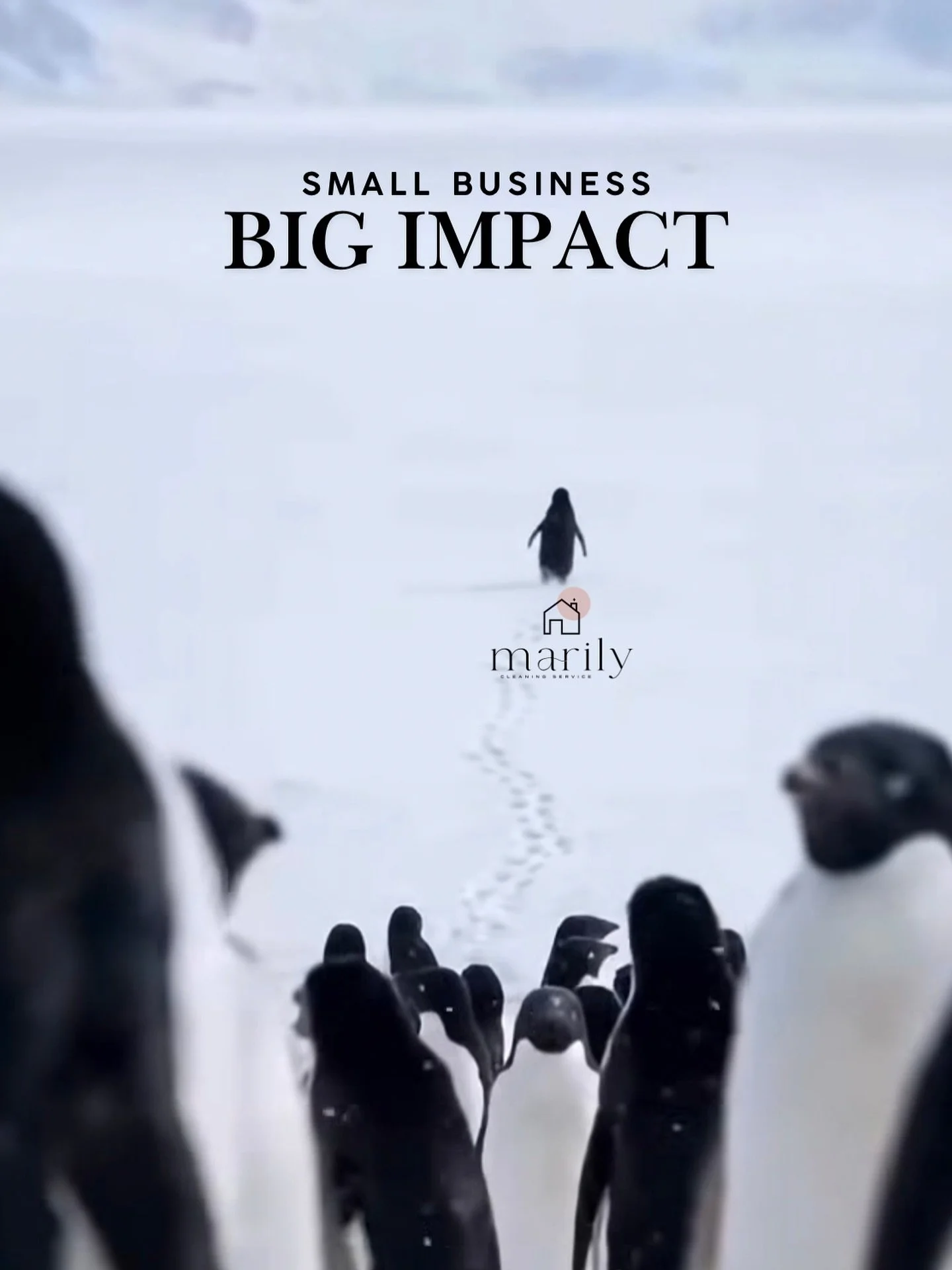 We are small businesses that choose every day to make a difference. 🌟
What once began as a simple idea, a quiet dream, has grown into something real. 
Today, we stand here because of the trust, support, and belief of everyone who chose us, who belie