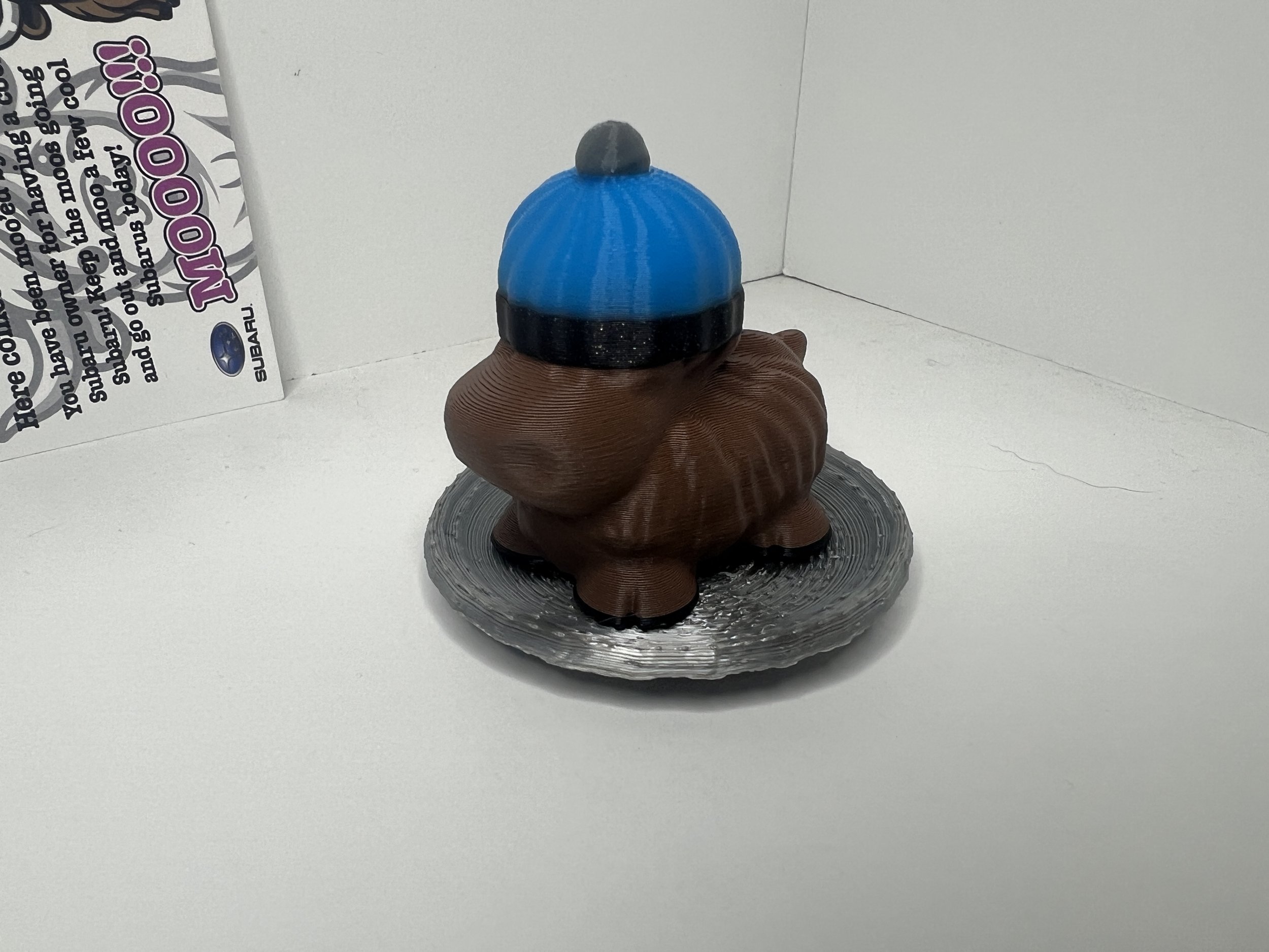 20241010_225300527_iOS.jpg
