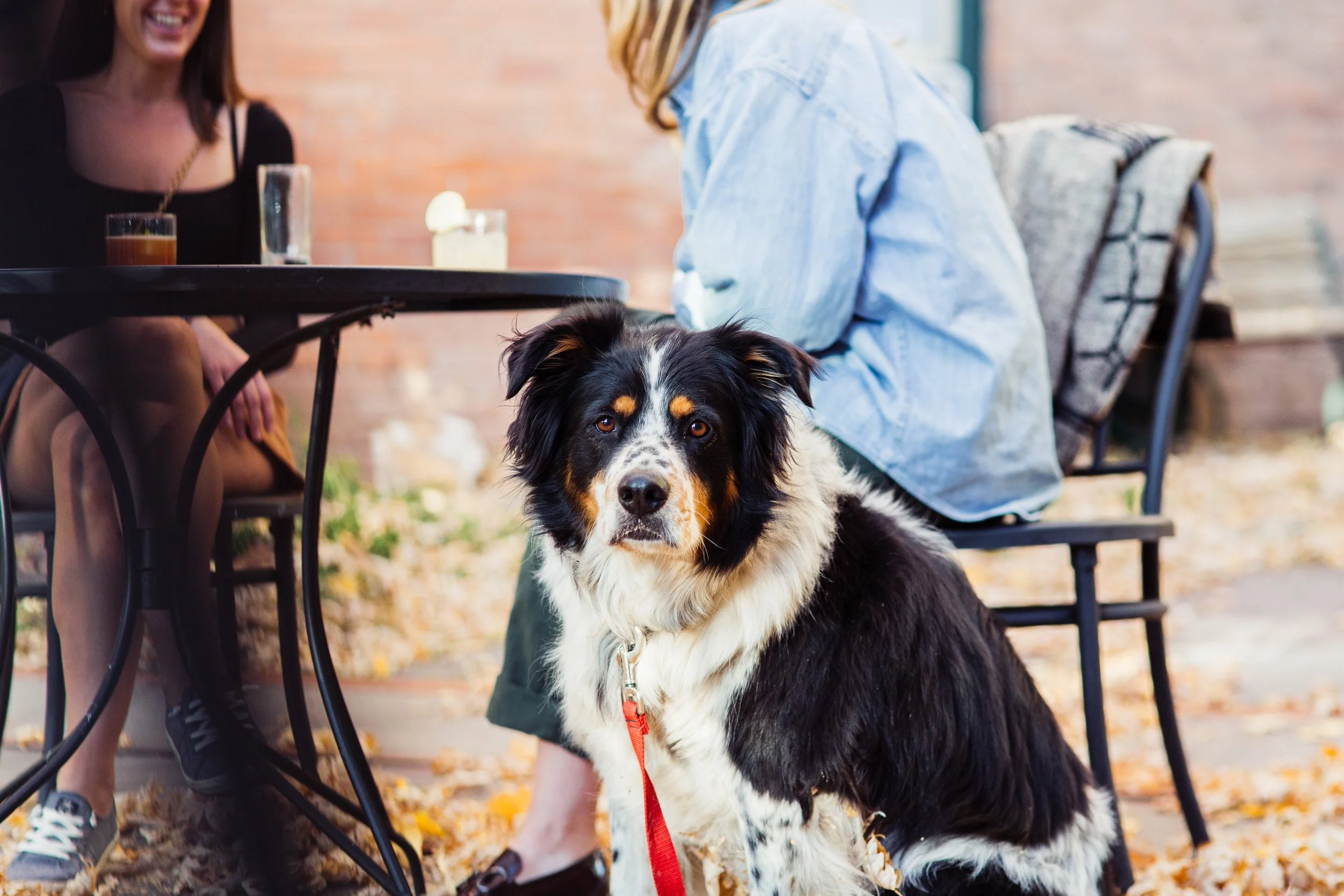 TheRochesterCourtyard and Bar_FallWinter2023_©KaitlynStoddard (23 of 34).jpg