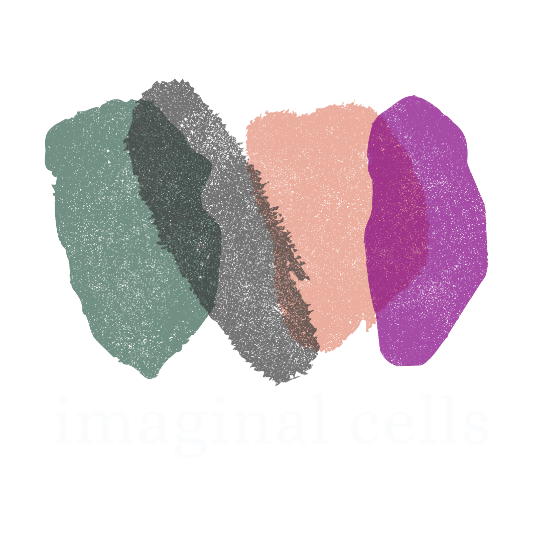 Imaginal Cells