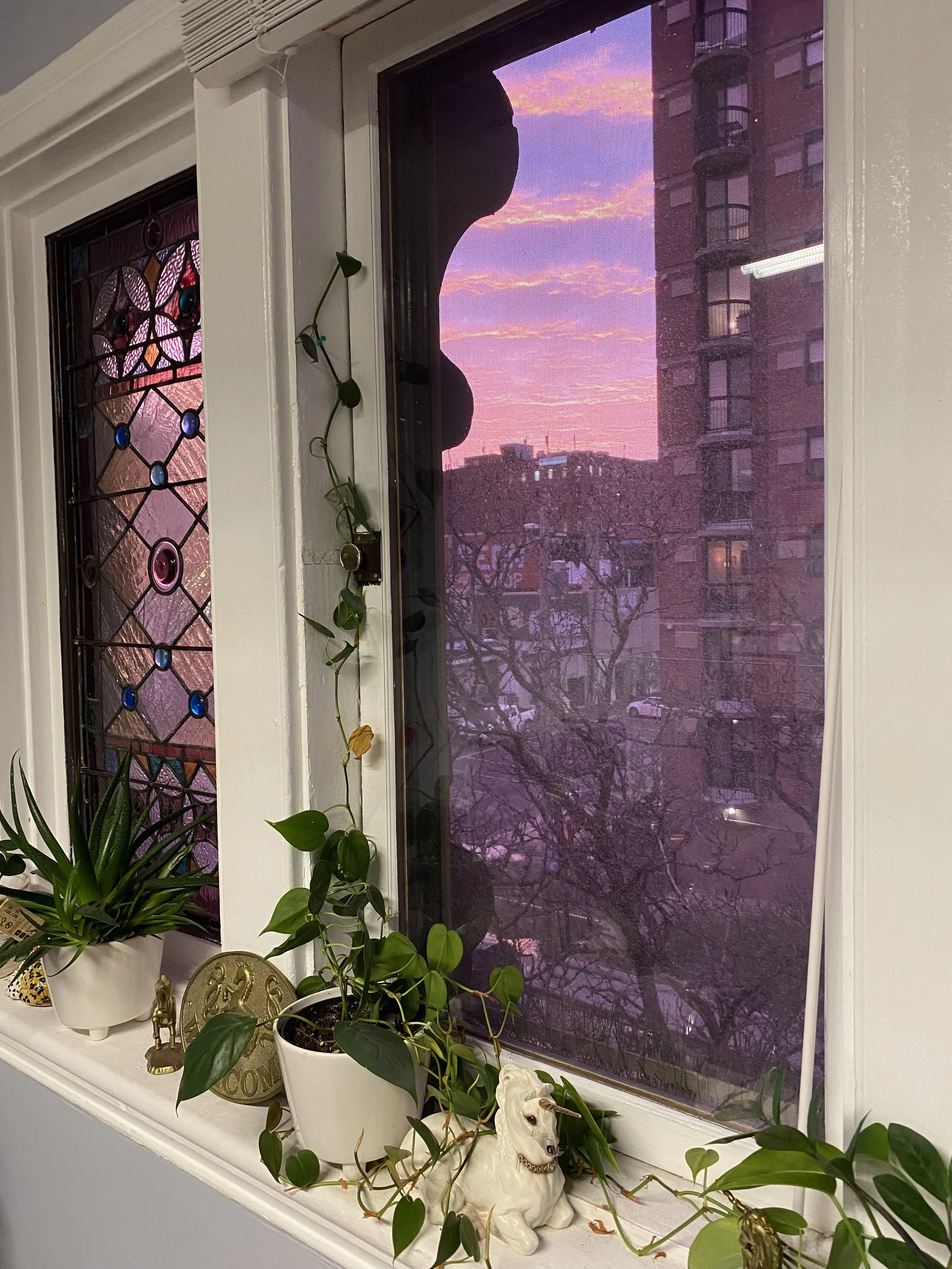 THE DAY BEFORE YOUR APPOINTMENT