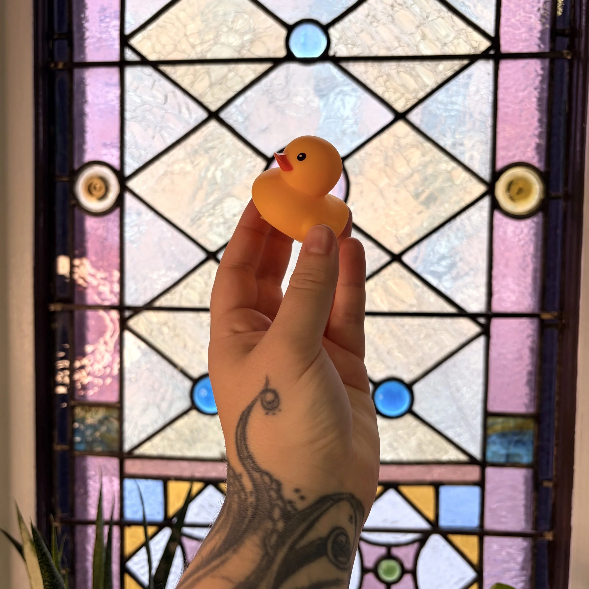 SOAP &amp; MOISTURIZER