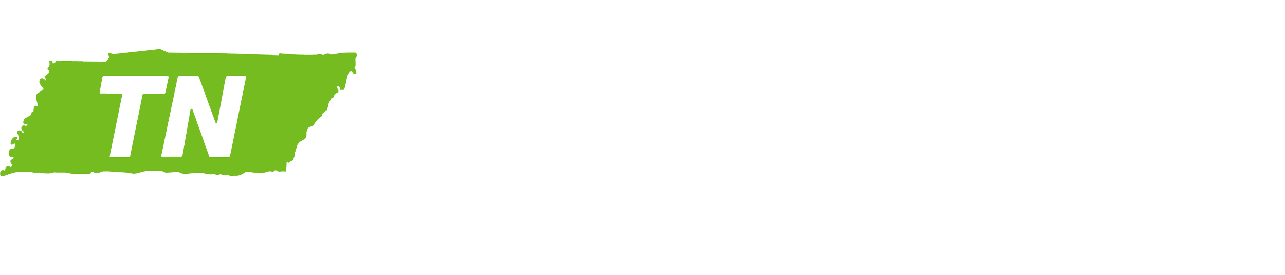 Logo for TN Achieves with a green outline of Tennessee and bold black text 'TN' inside the outline, followed by 'Achieves' in large white letters, and the tagline 'Building Tennessee's Future Workforce' in smaller white text below.