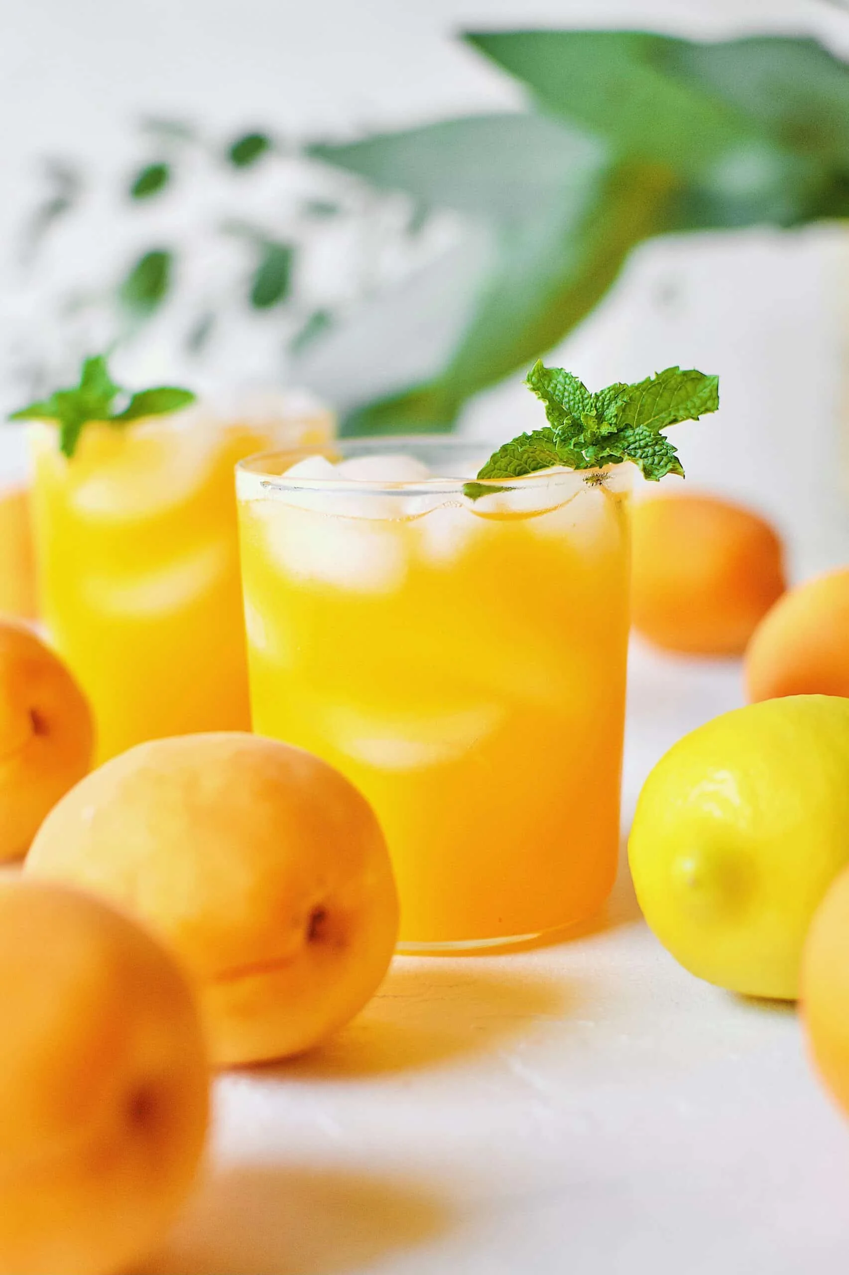 Apricot