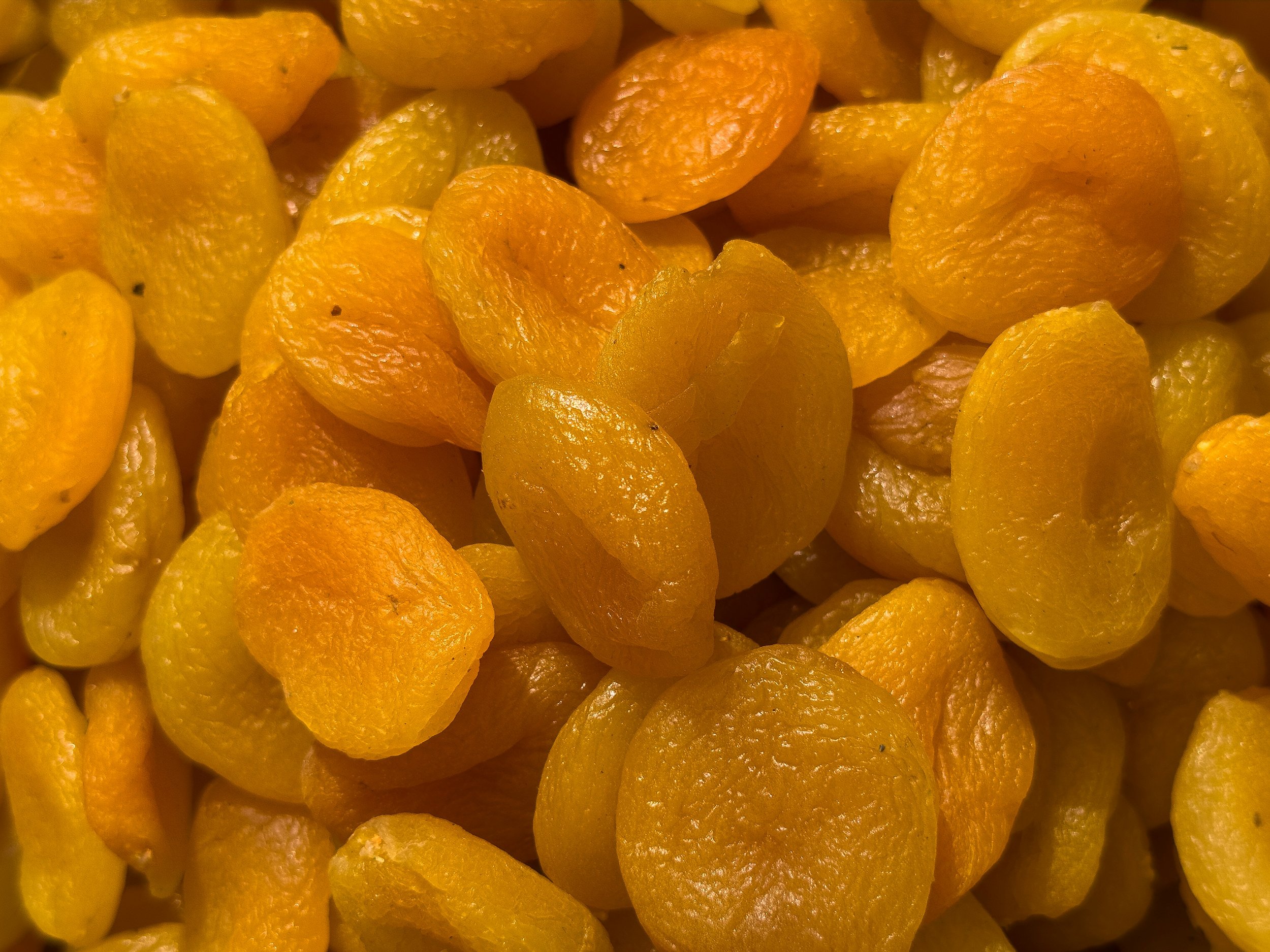 apricots.jpg