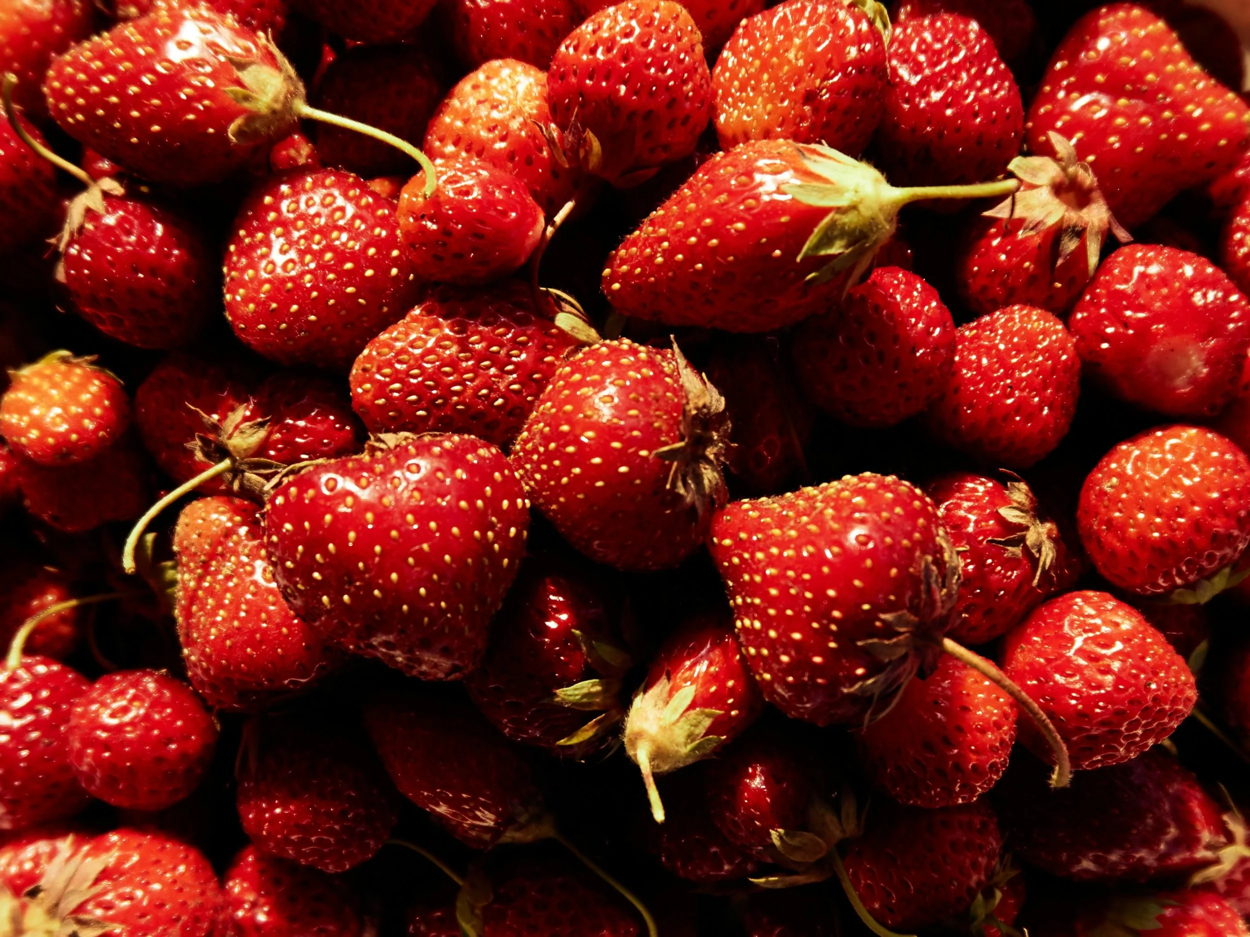 Strawberries.jpg