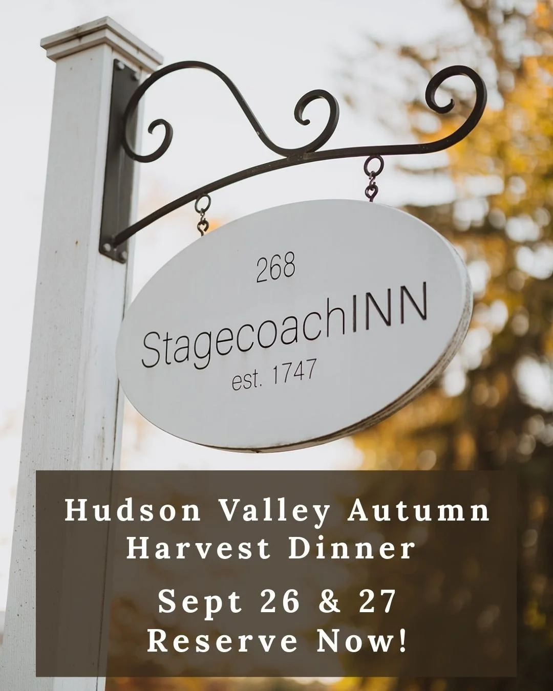 Autumn Harvest Dinner