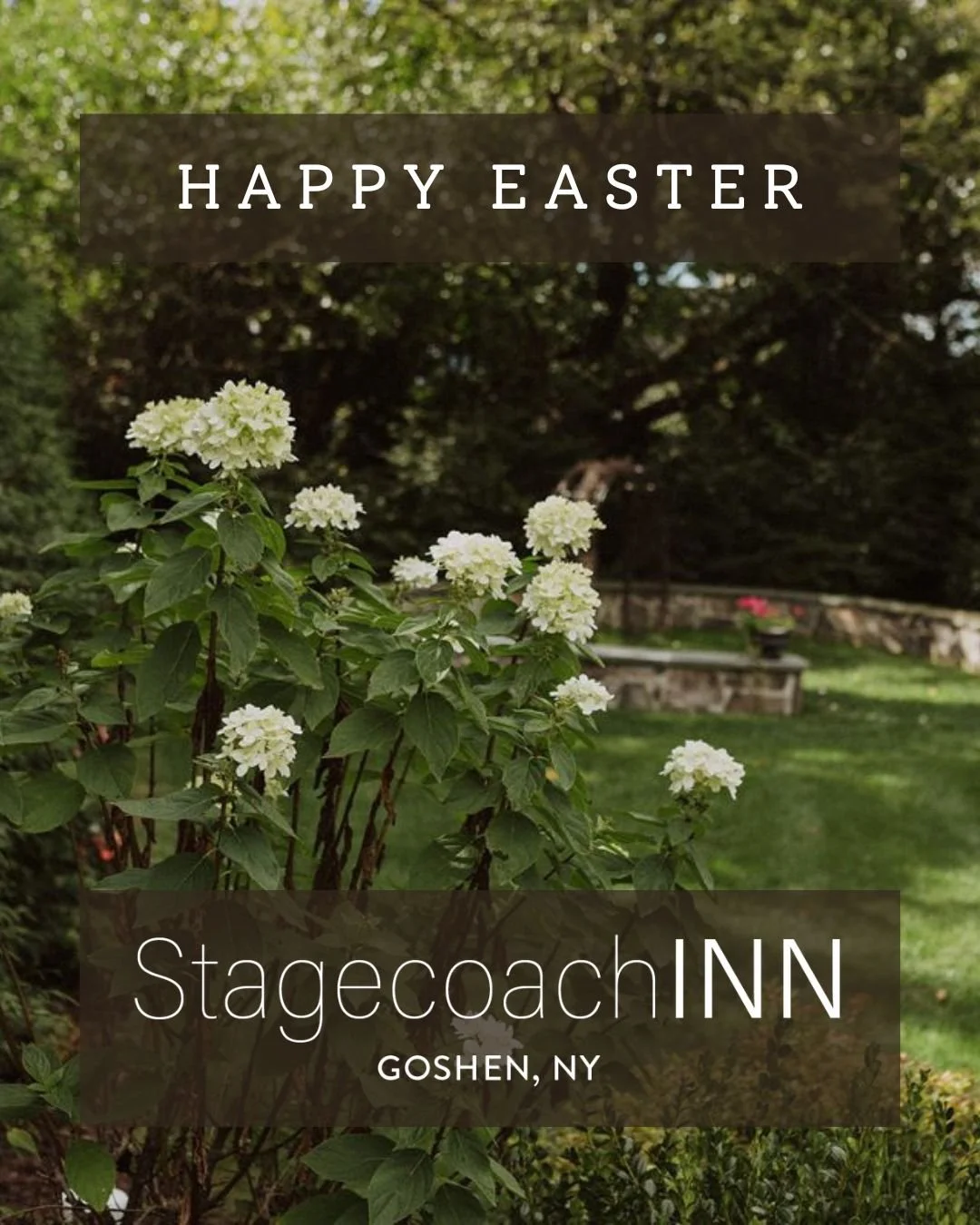 🌷 Happy Easter. Grateful to all who&rsquo;ll be celebrating with us today. 🐣

#goshenny #stagecoachinnny #orangecountyny #hudsonvalley #upstateny #hudsonvallyrestaurants #hudsonvallyeats #finedining #easteregghunt #easterbrunch #familybrunch