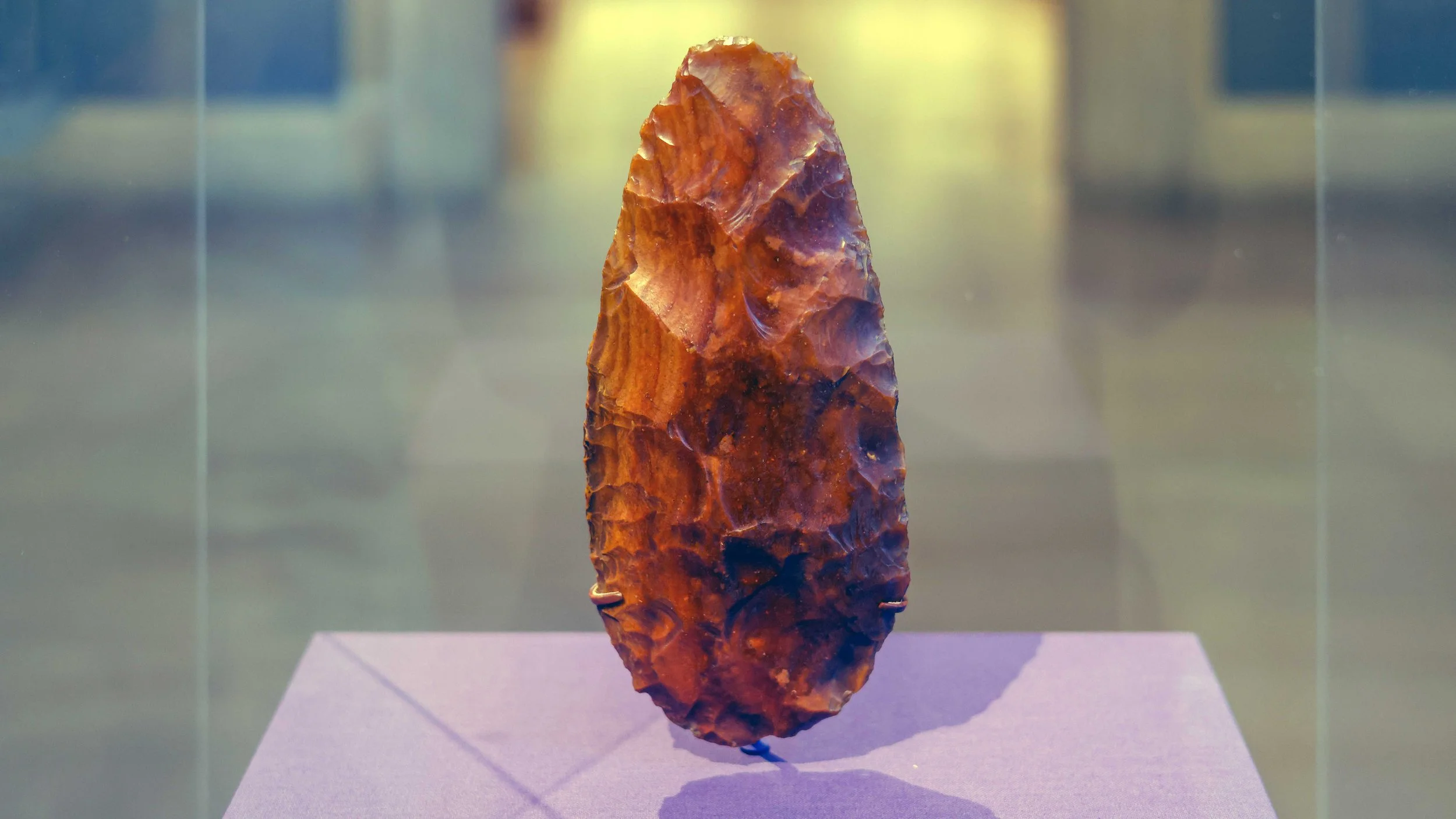 Ancient stone arrowhead displayed on purple platform behind glass case.