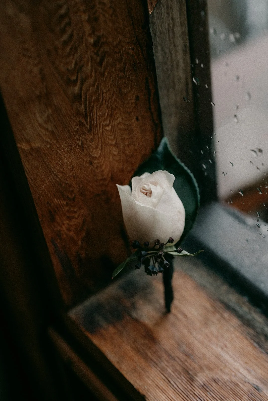 Otways Loft, accommodation, dufflebird, elsewhere, elopement packages, Ryal Sormaz, Kahani Motiani, geelong photographer, celebrant, forrest, elope