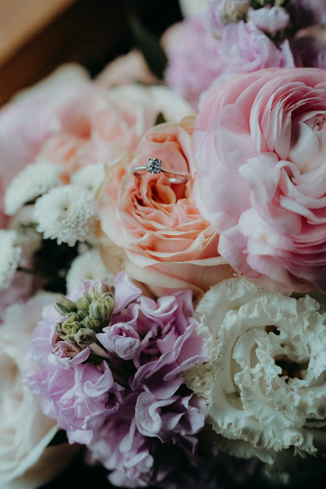 Otways Loft, accommodation, dufflebird, elsewhere, elopement packages, Ryal Sormaz, Kahani Motiani, geelong photographer, celebrant, forrest, elope, bouquet