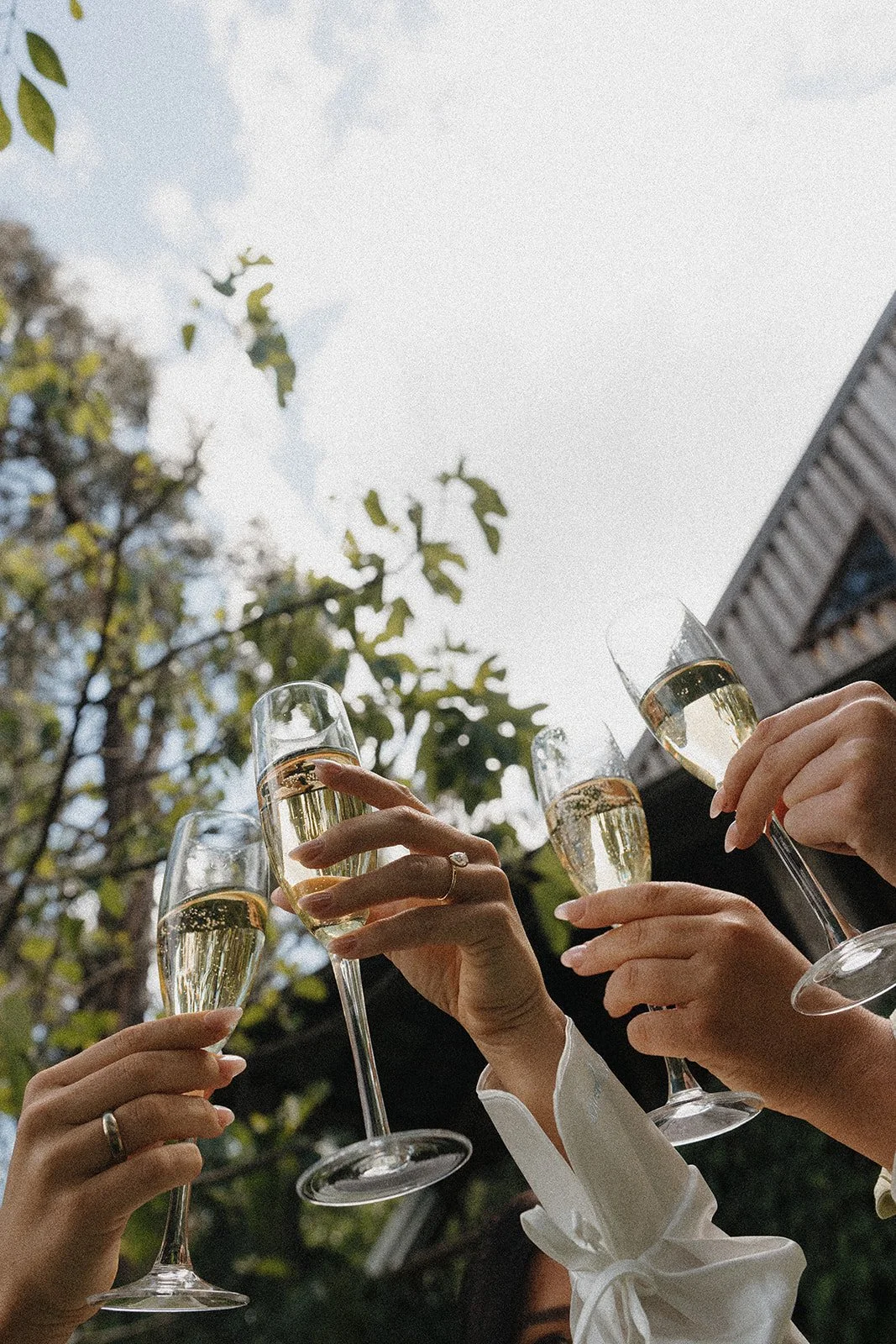 Otways Loft, accommodation, dufflebird, elsewhere, elopement packages, Ryal Sormaz, Kahani Motiani, geelong photographer, celebrant, forrest, elope