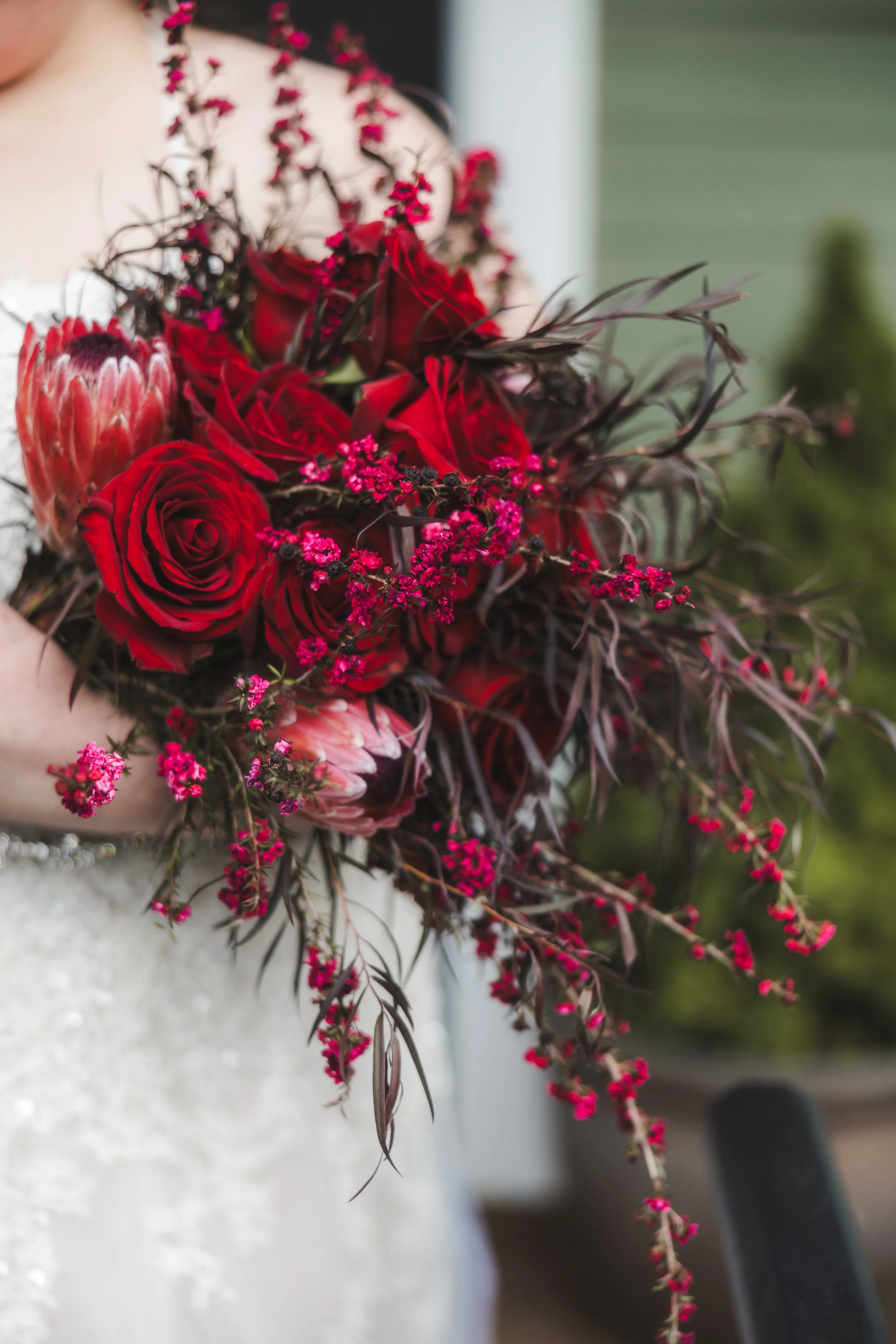 Bridal Bouquet of Pink Ice Protea, Black Magic Roses, and Hot Pink Leptospermum by Chemical Ocean Studio. 
Photographer: Katy Nevinsky
