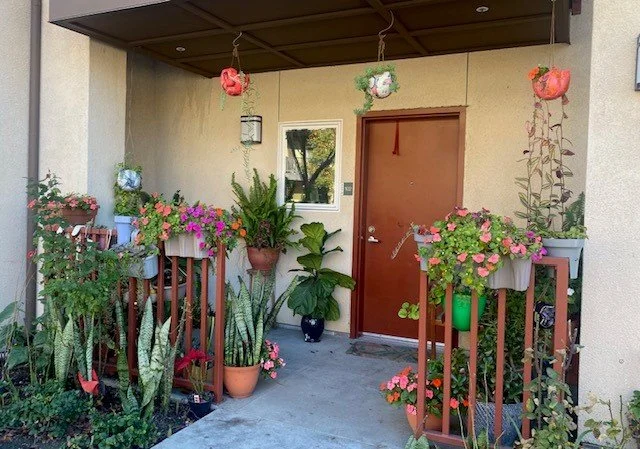 Tenant landscaping on Century Blvd.