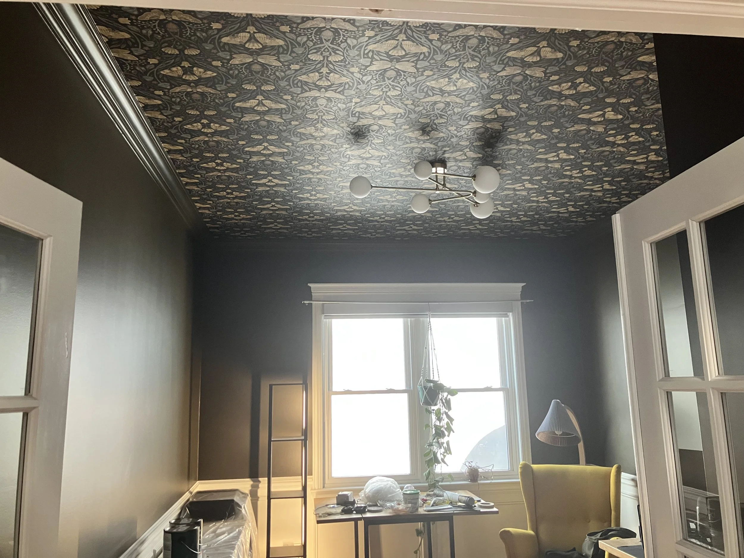 Darling, there's a moth on the ceiling