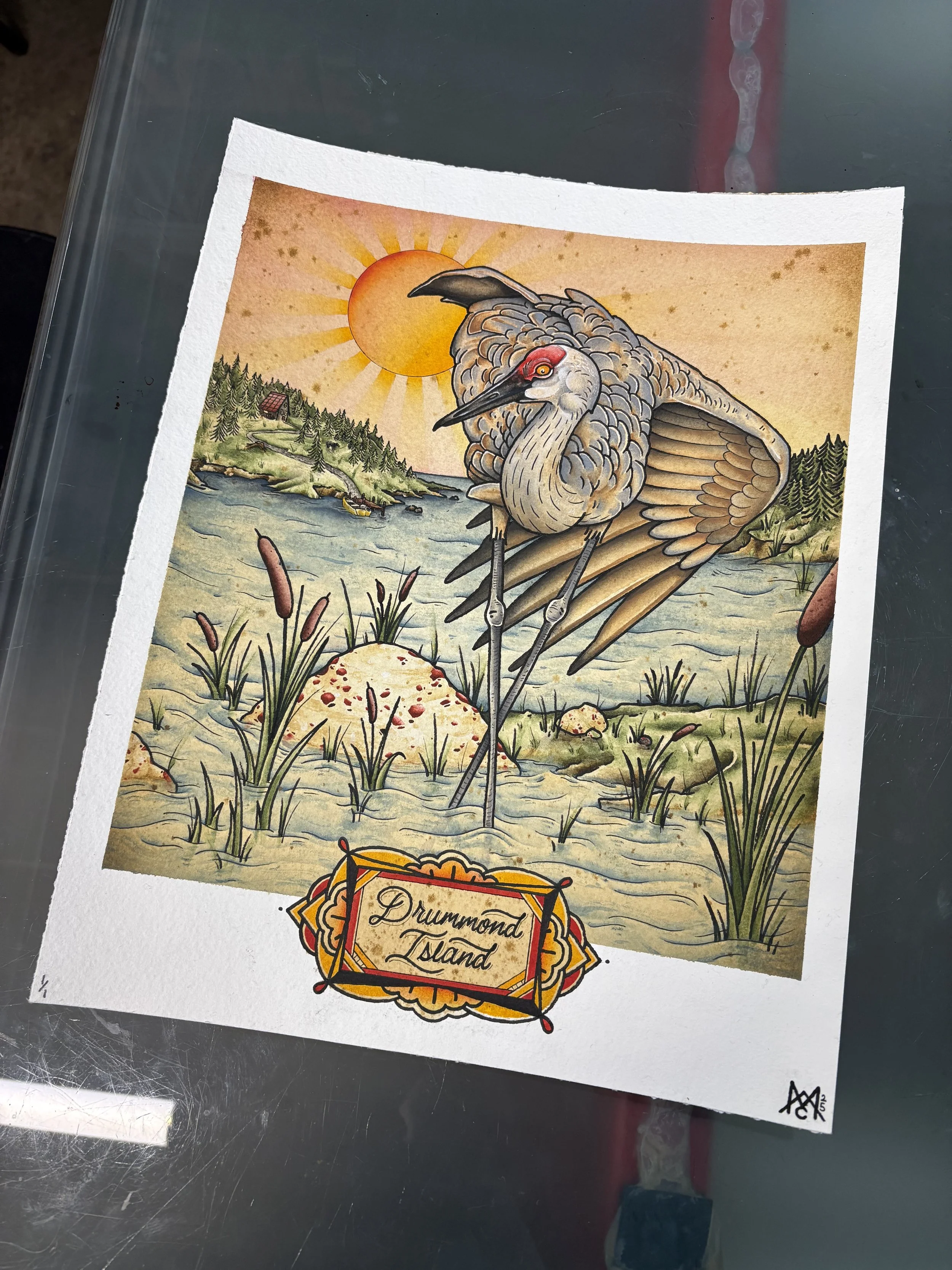 Commission - North Haven Gifts
FW Liquid Acrylic on 11”x14” 300lb Arches Cold Press