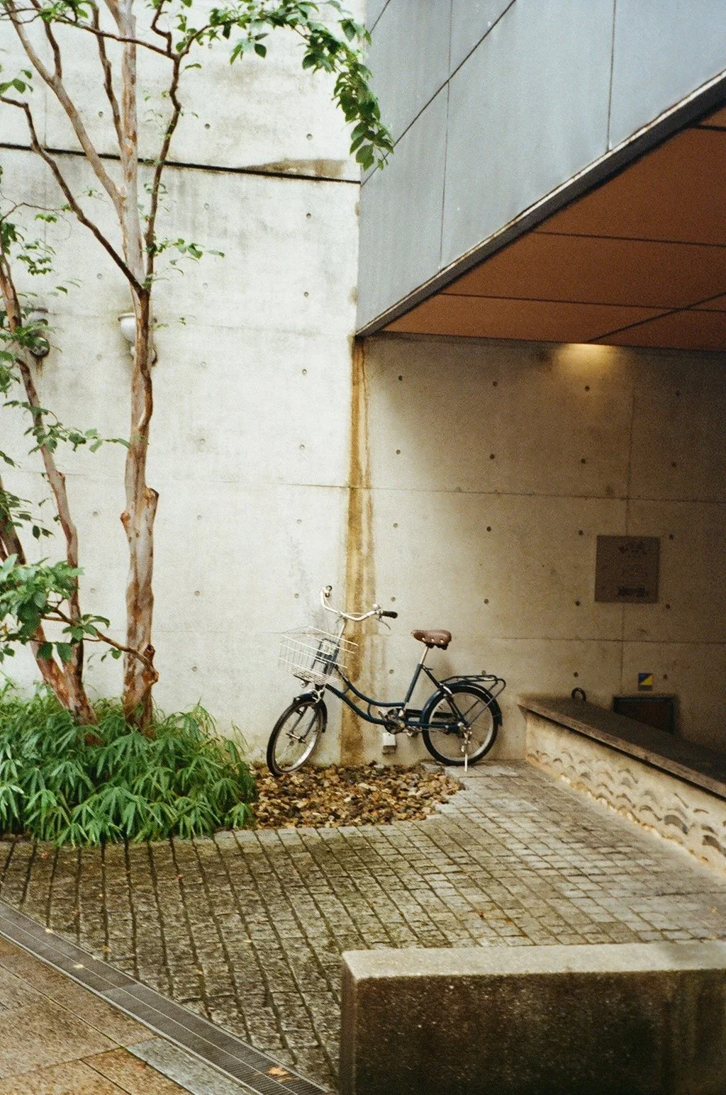 000573710034 copy.jpg