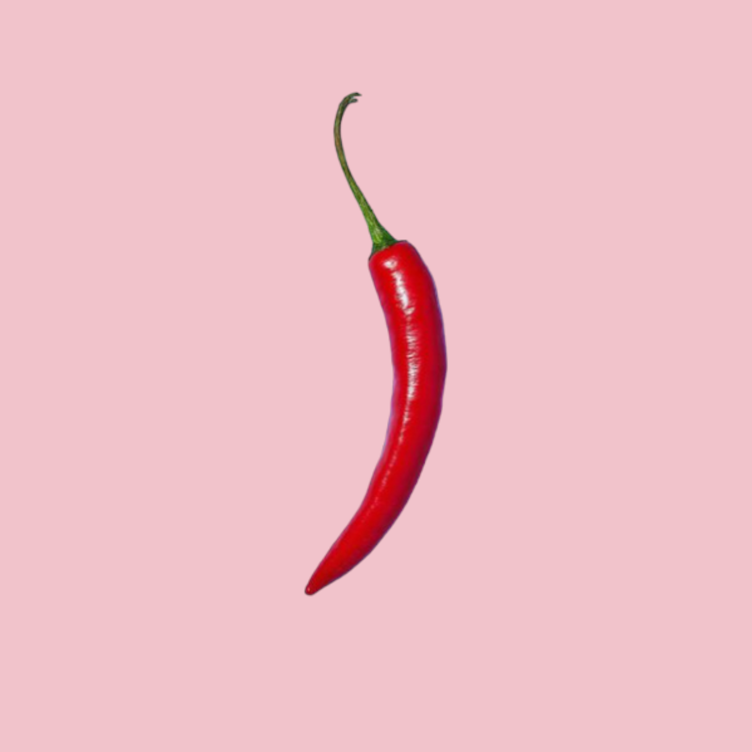 Humble Bites | Healthy Superfood Snacks