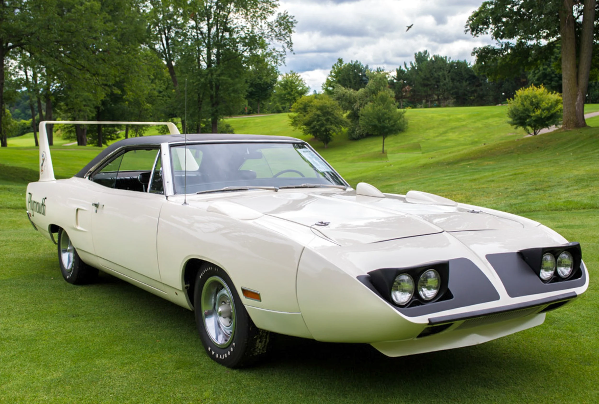 Superbird-2.jpg