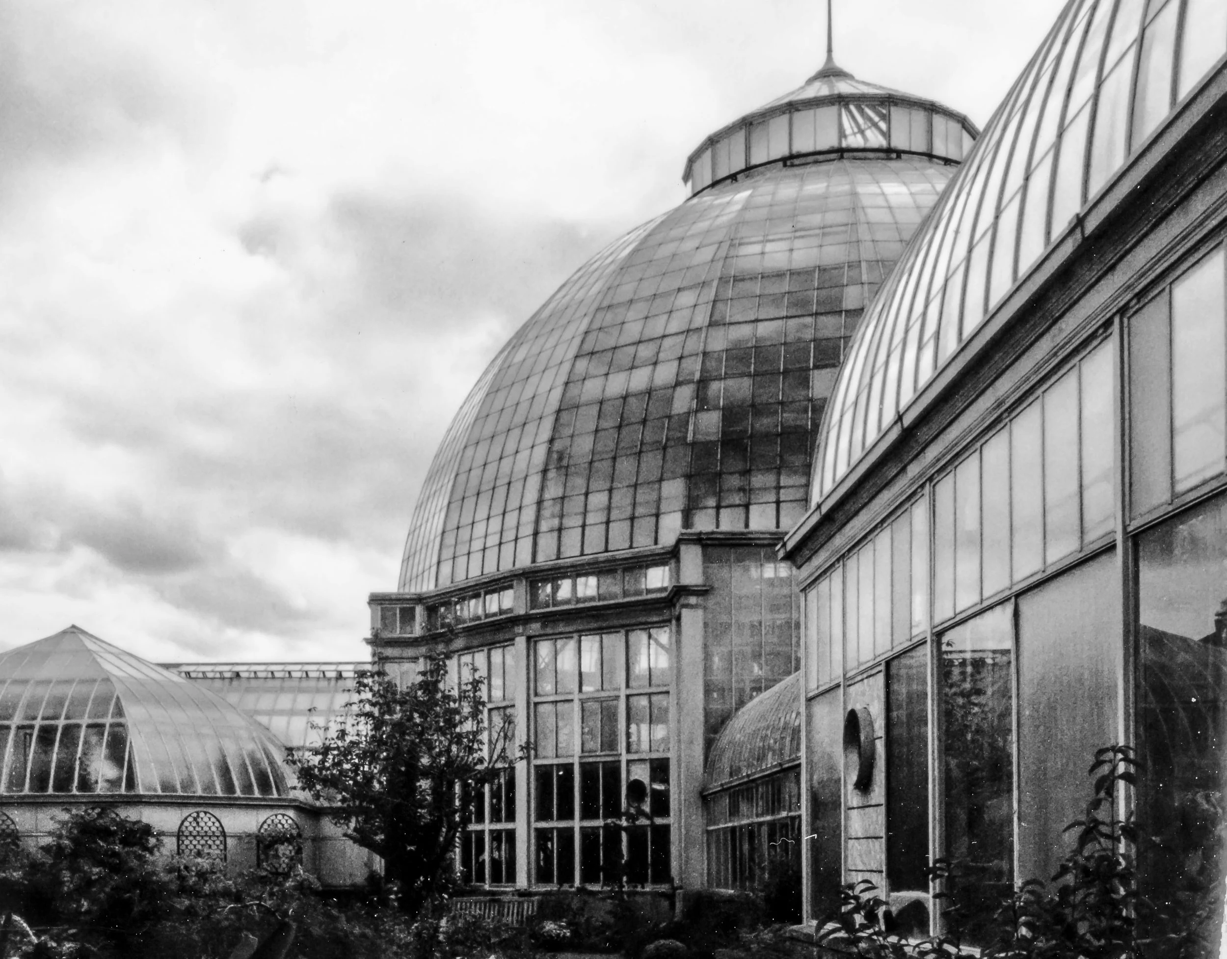 Anna Scripps Whitcomb Conservatory.jpg