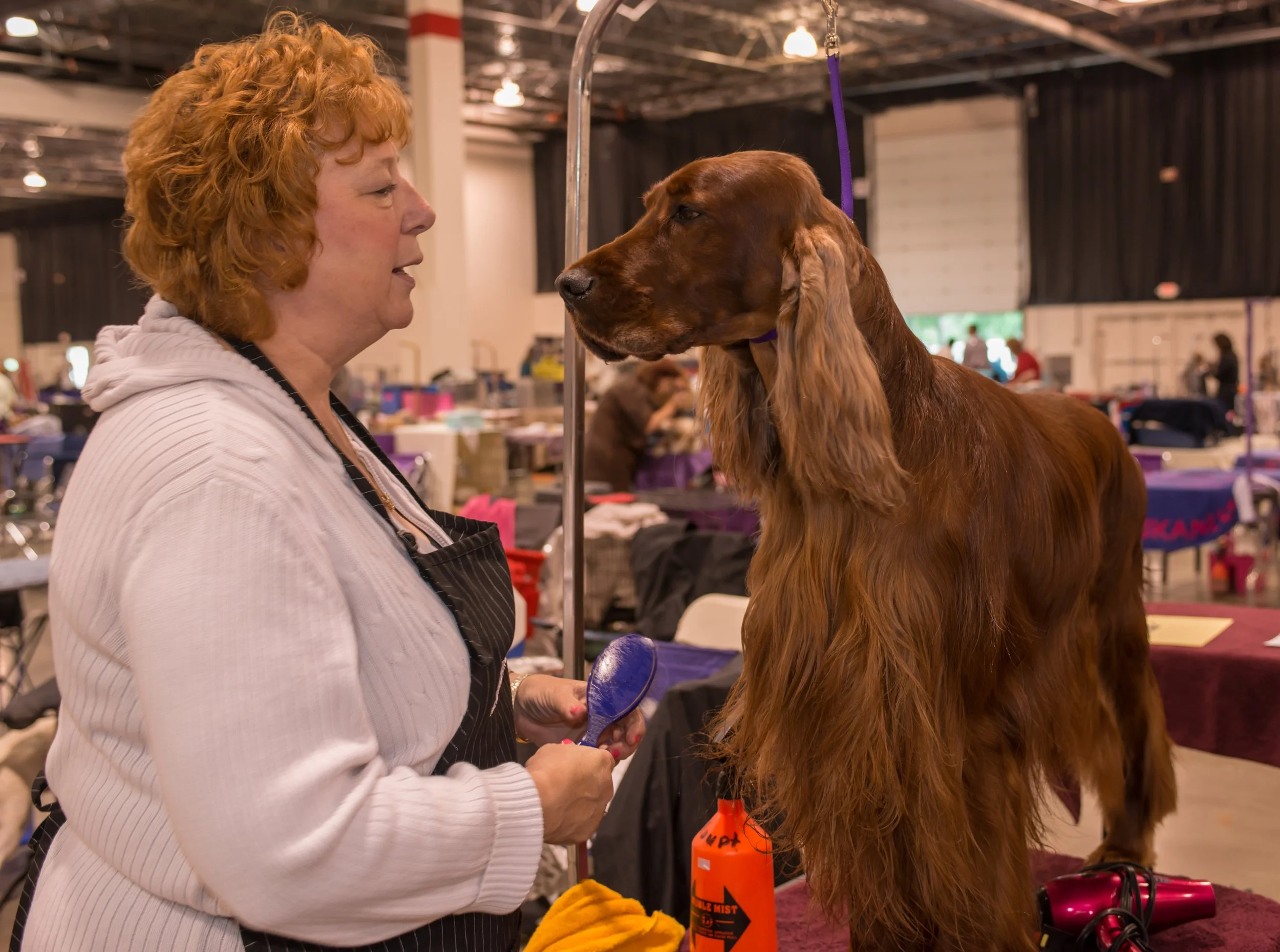 Detroit Kennel Club Dog Show-17.jpg