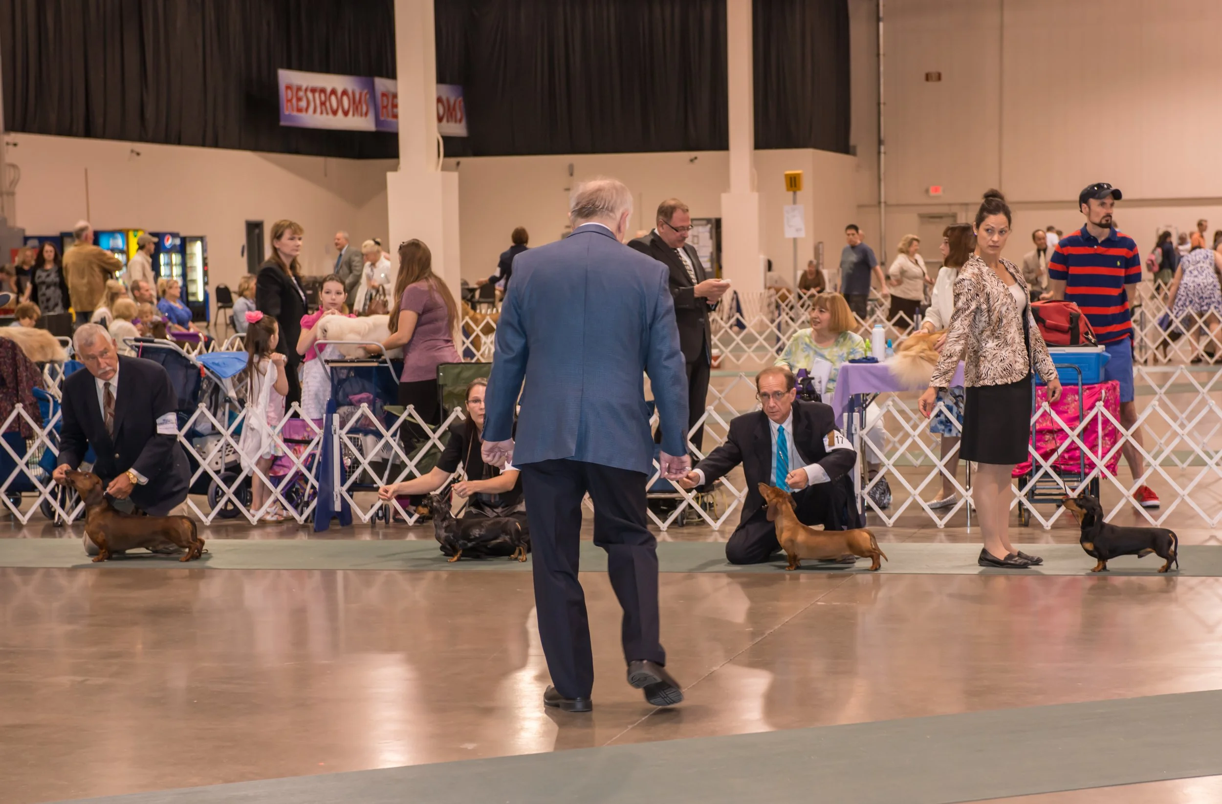 Detroit Kennel Club Dog Show-14.jpg