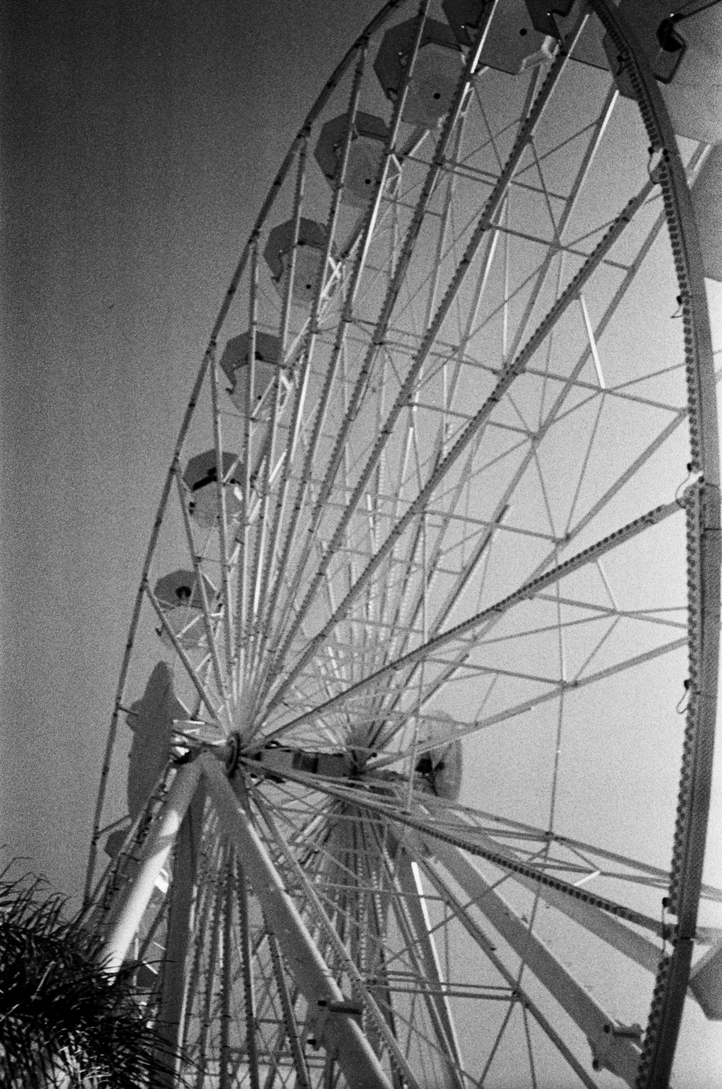 28280021.jpg