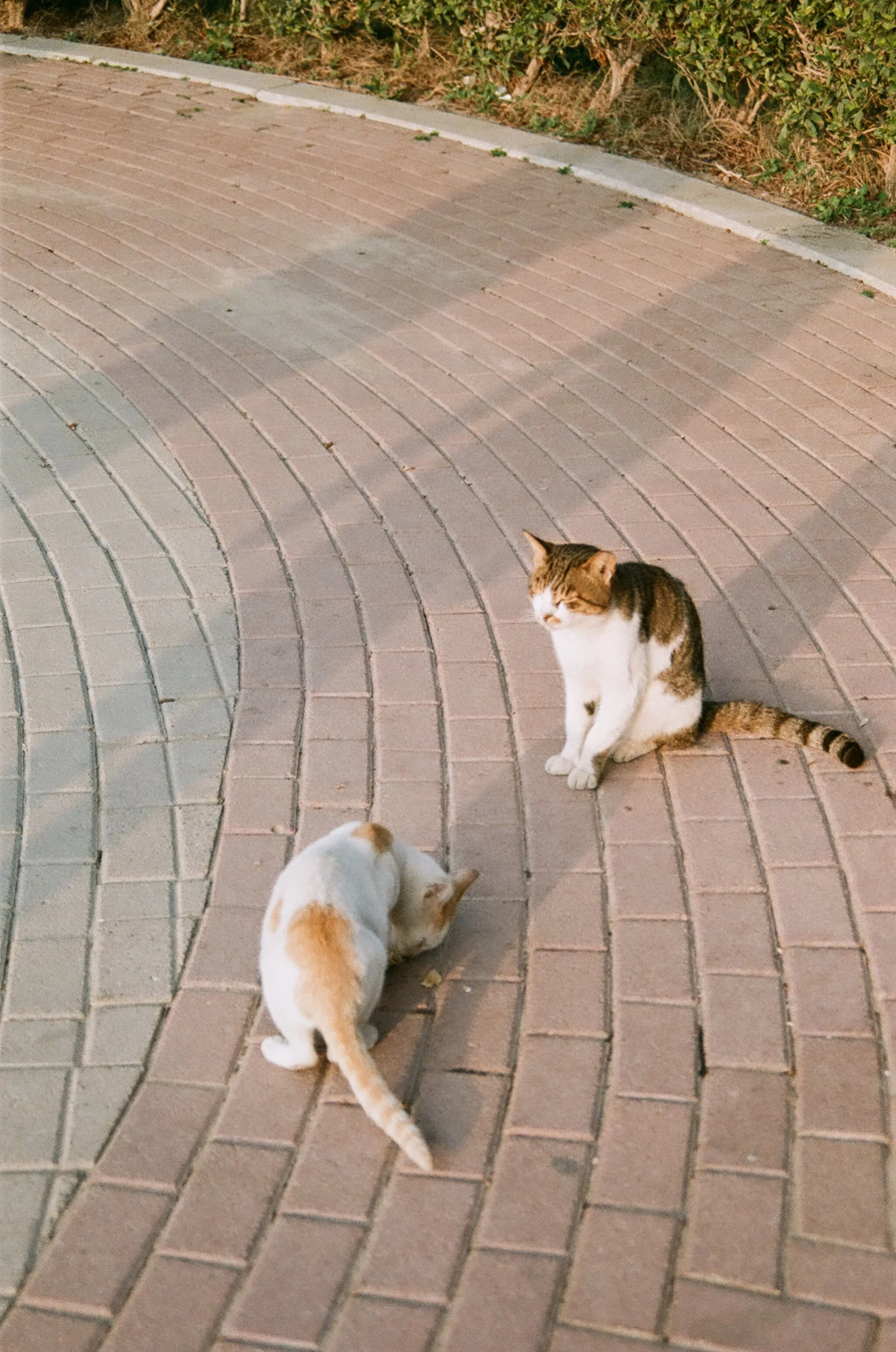 001503830026.jpg