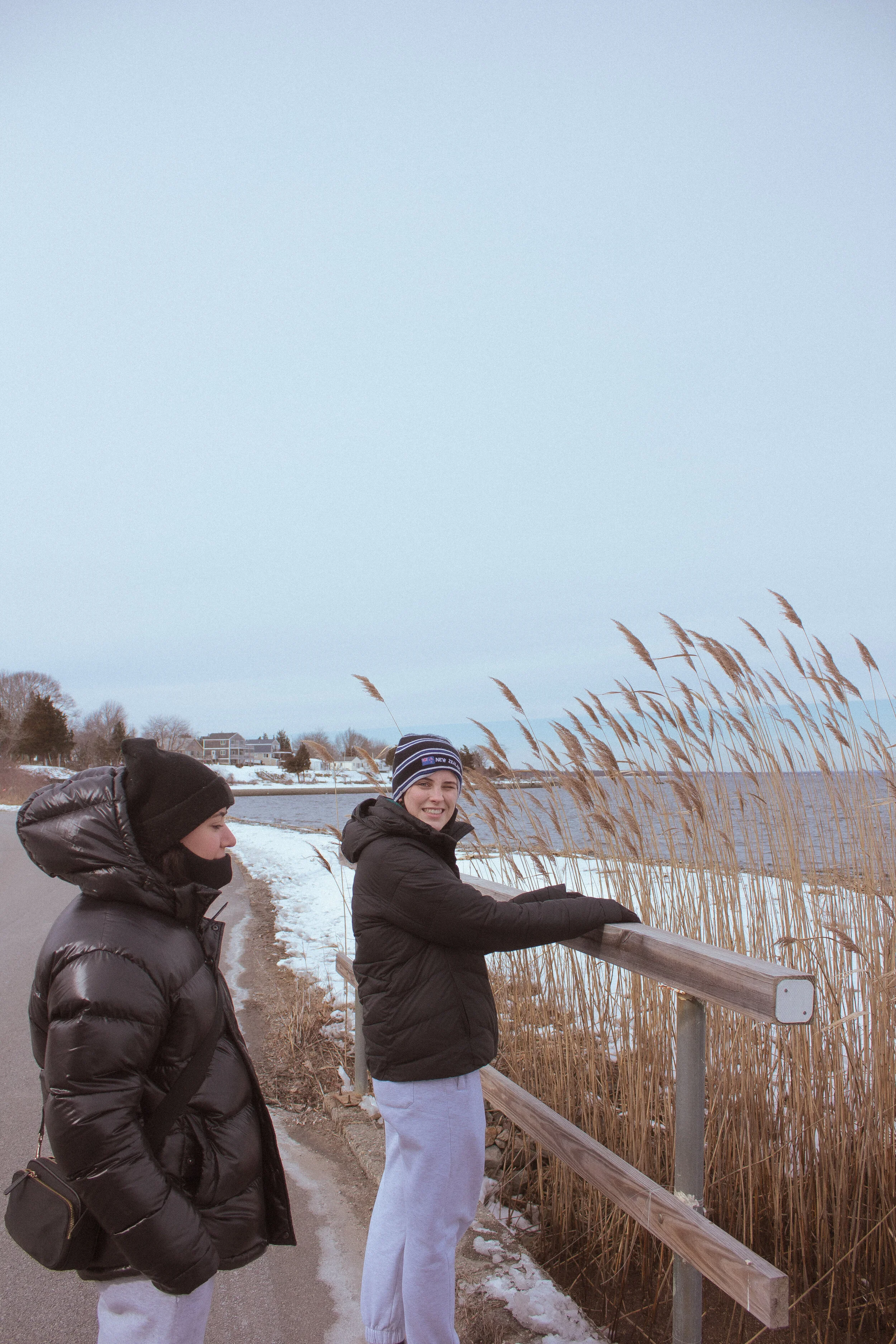 _MG_4039.jpg