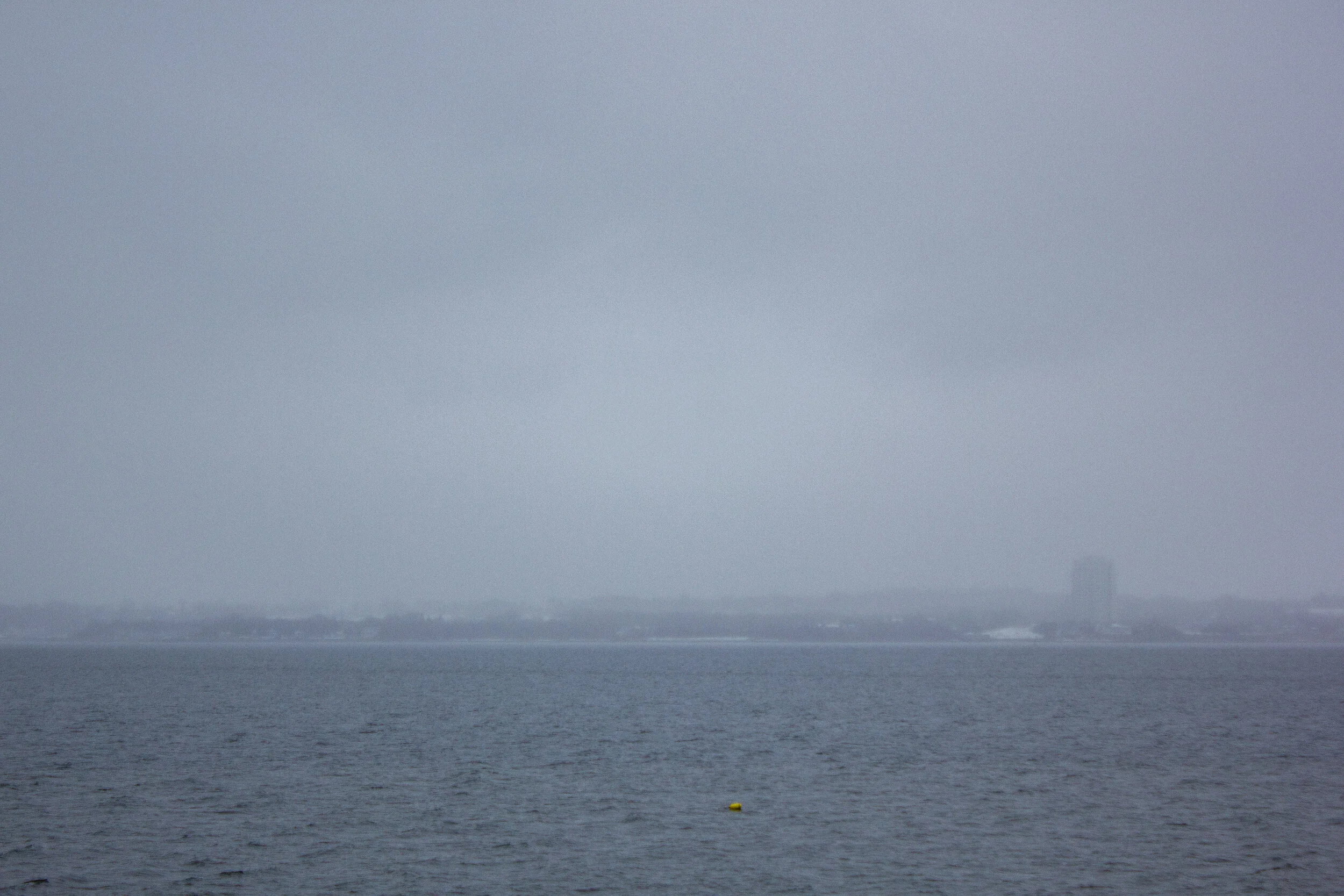 _MG_4273.jpg