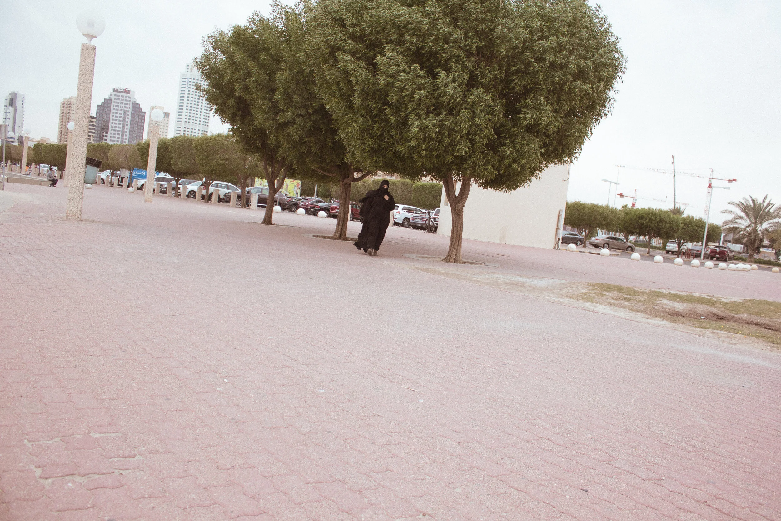 _MG_3421.jpg