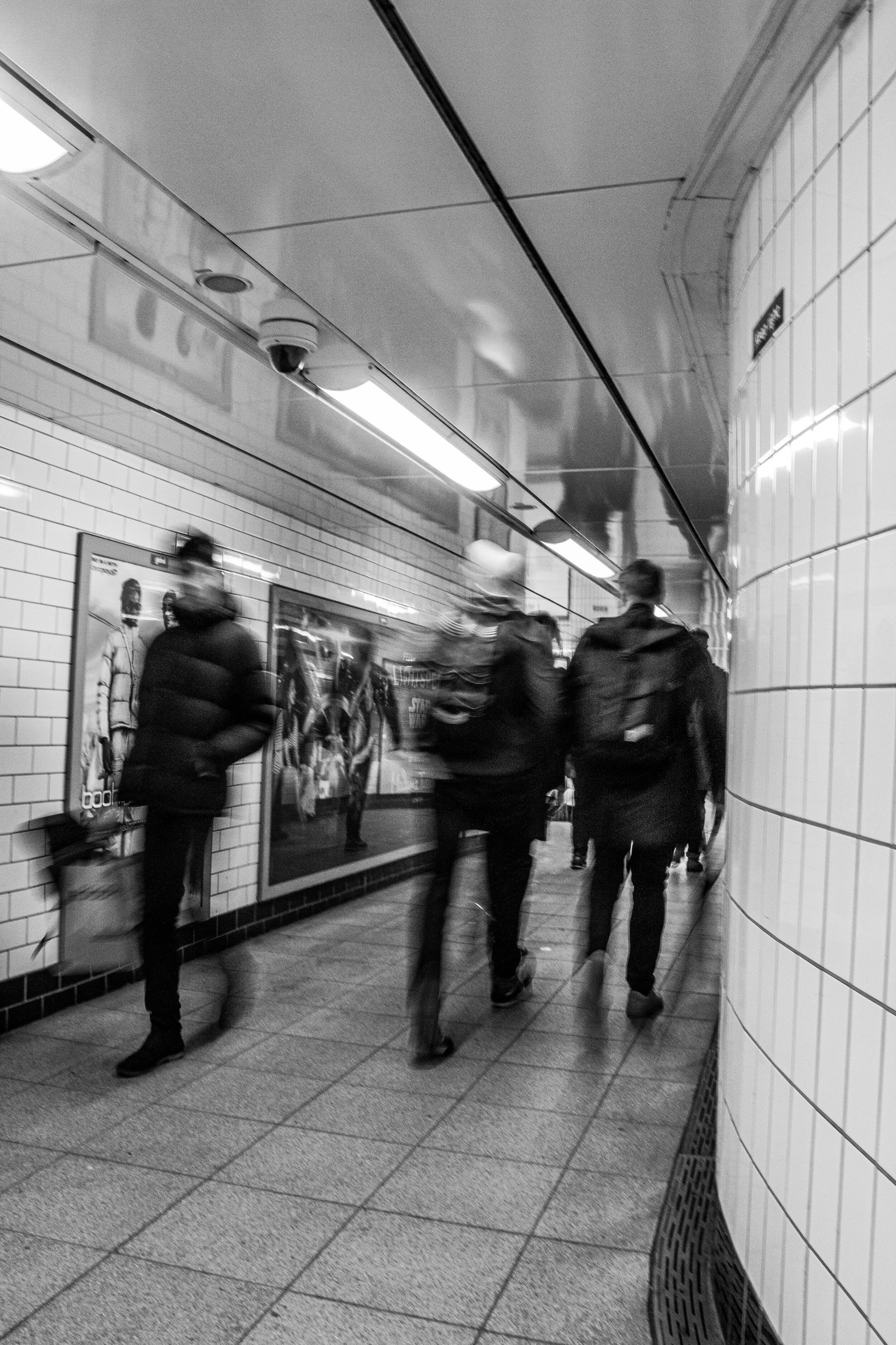 _MG_6741.jpg