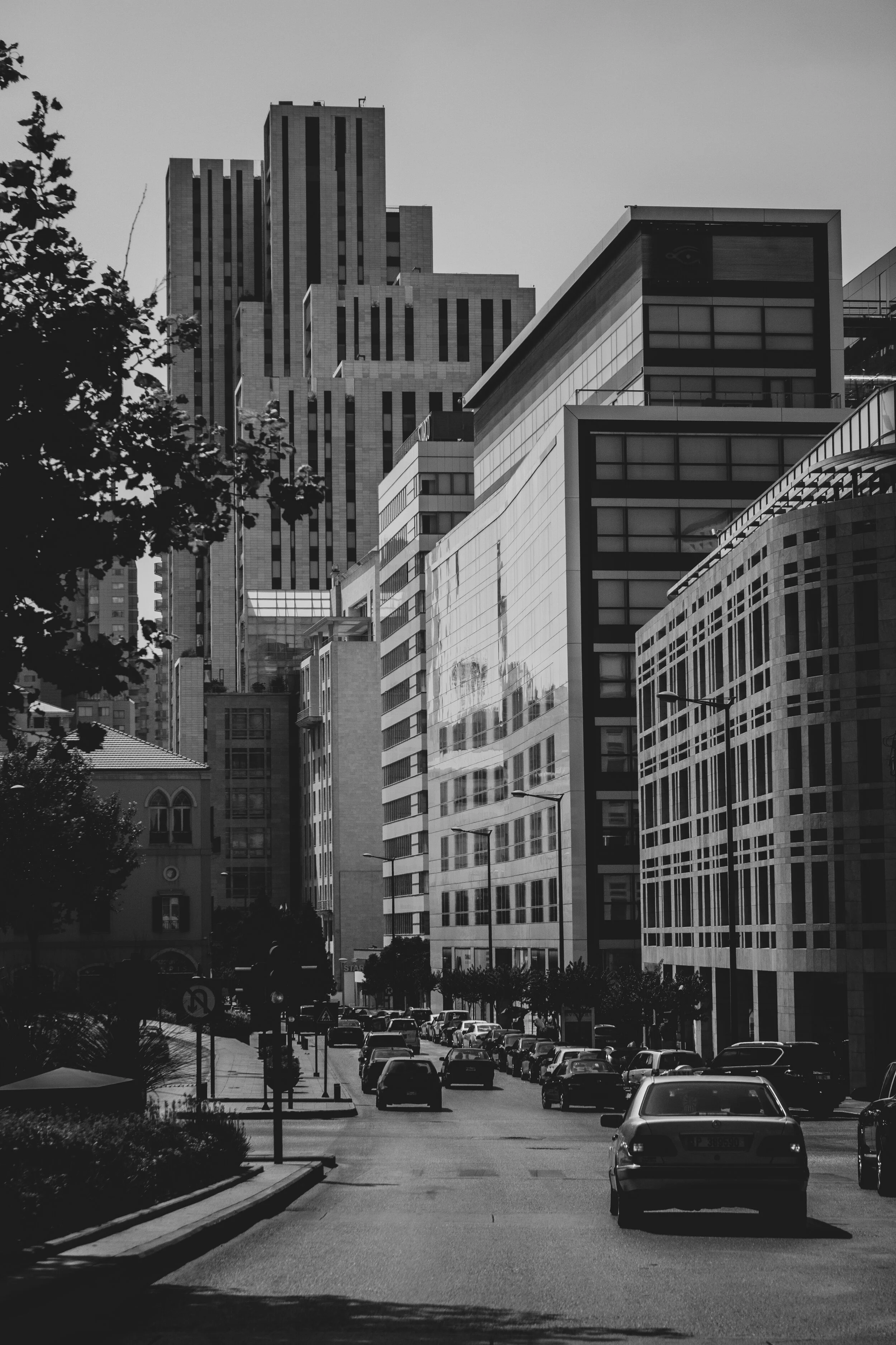 _MG_2111.jpg