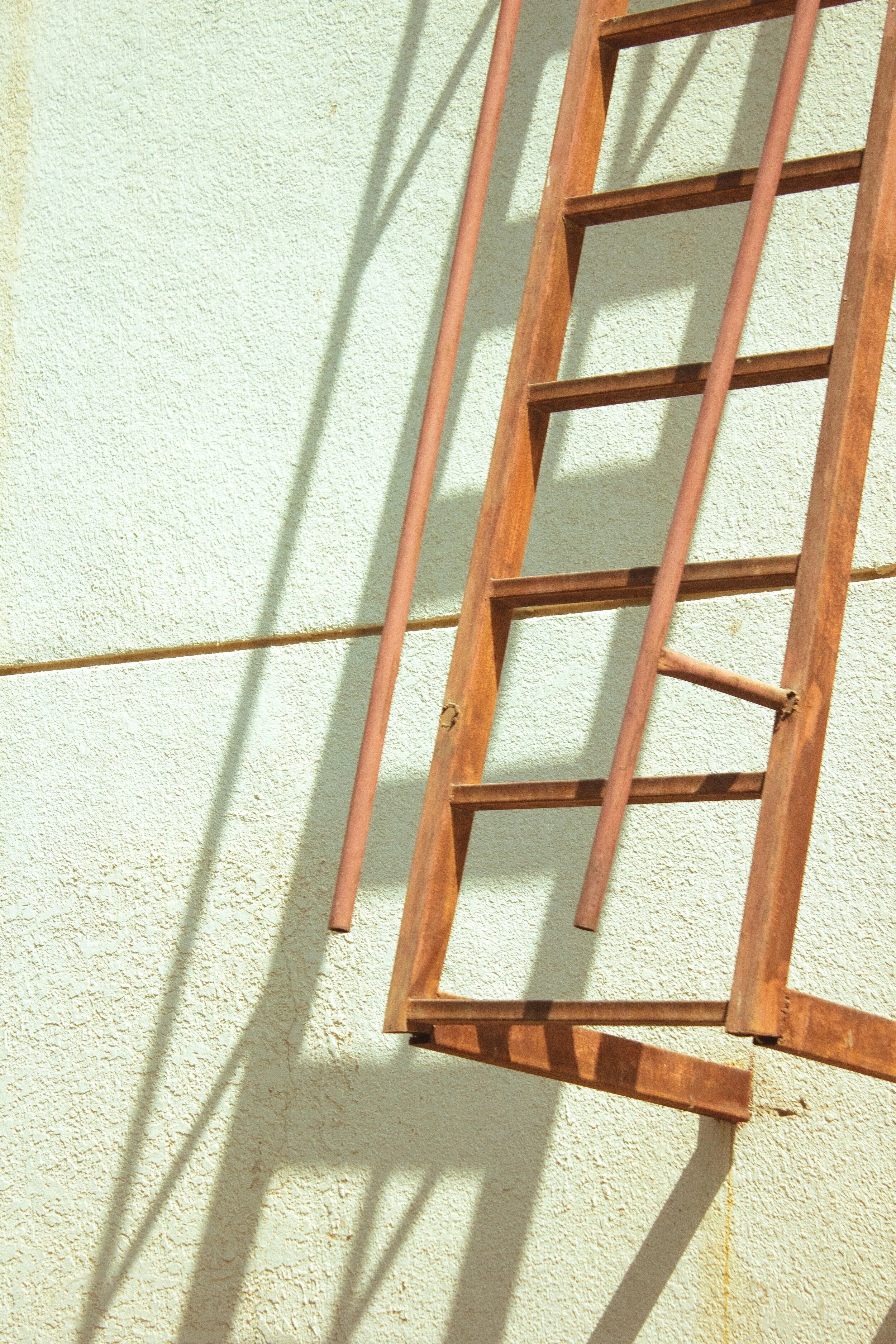 _MG_6878.jpg